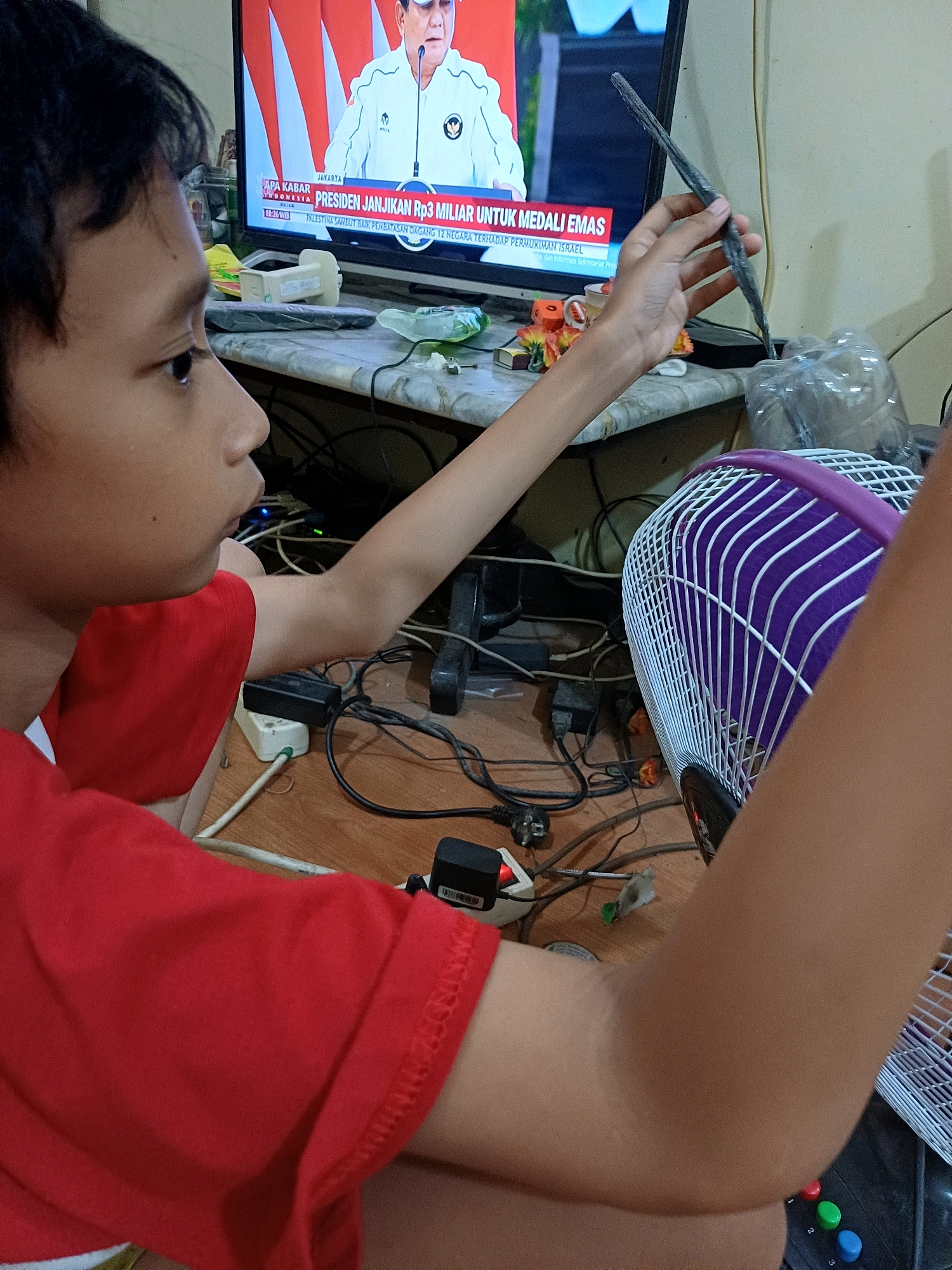 Memory
