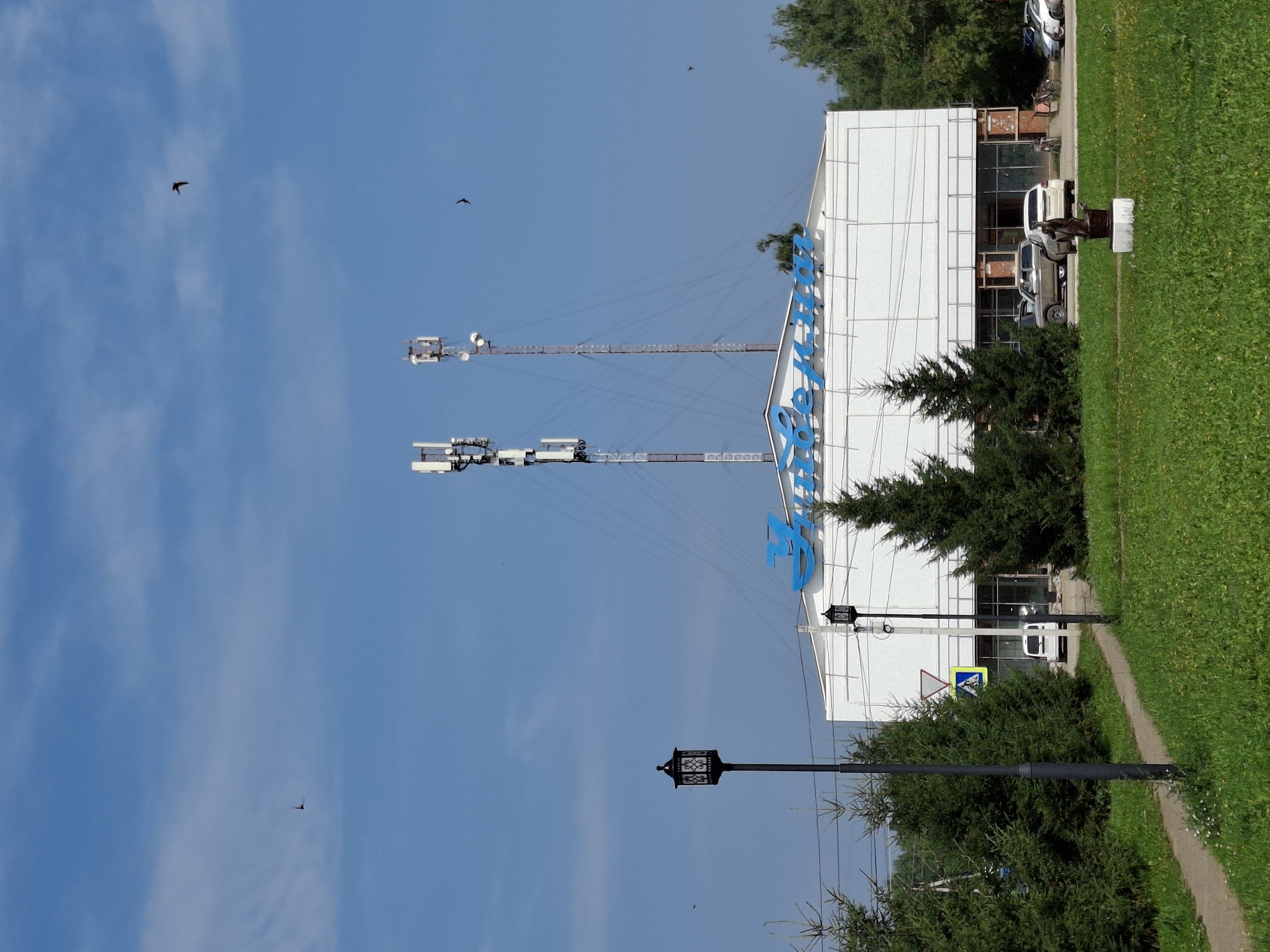 The image depicts a clear, sunny day in the city of Elovo, Russia. In the foreground, a well-maintained grassy area with scattered small wildflowers is visible, intersected by a paved walkway. Two decorative lampposts, one taller and more ornate than the other, stand along the walkway. A small statue on a pedestal is situated in the grassy area.
Dominating the midground is a large, white building with a blue sign displaying Cyrillic text. The building appears to be a commercial establishment, possibly a store or cultural center. In front of the building, several cars are parked, including a white van, a light-colored SUV, and a white sedan. Bicycles are also visible near the right side of the building. Evergreen trees flank the building and line the perimeter of the property.
In the background, two tall cell towers rise against a bright blue sky with wispy clouds. Several birds are visible in flight, silhouetted against the sky. The overall scene suggests a typical day in a suburban or small-town environment in Russia, characterized by modest architecture, infrastructure, and natural elements.