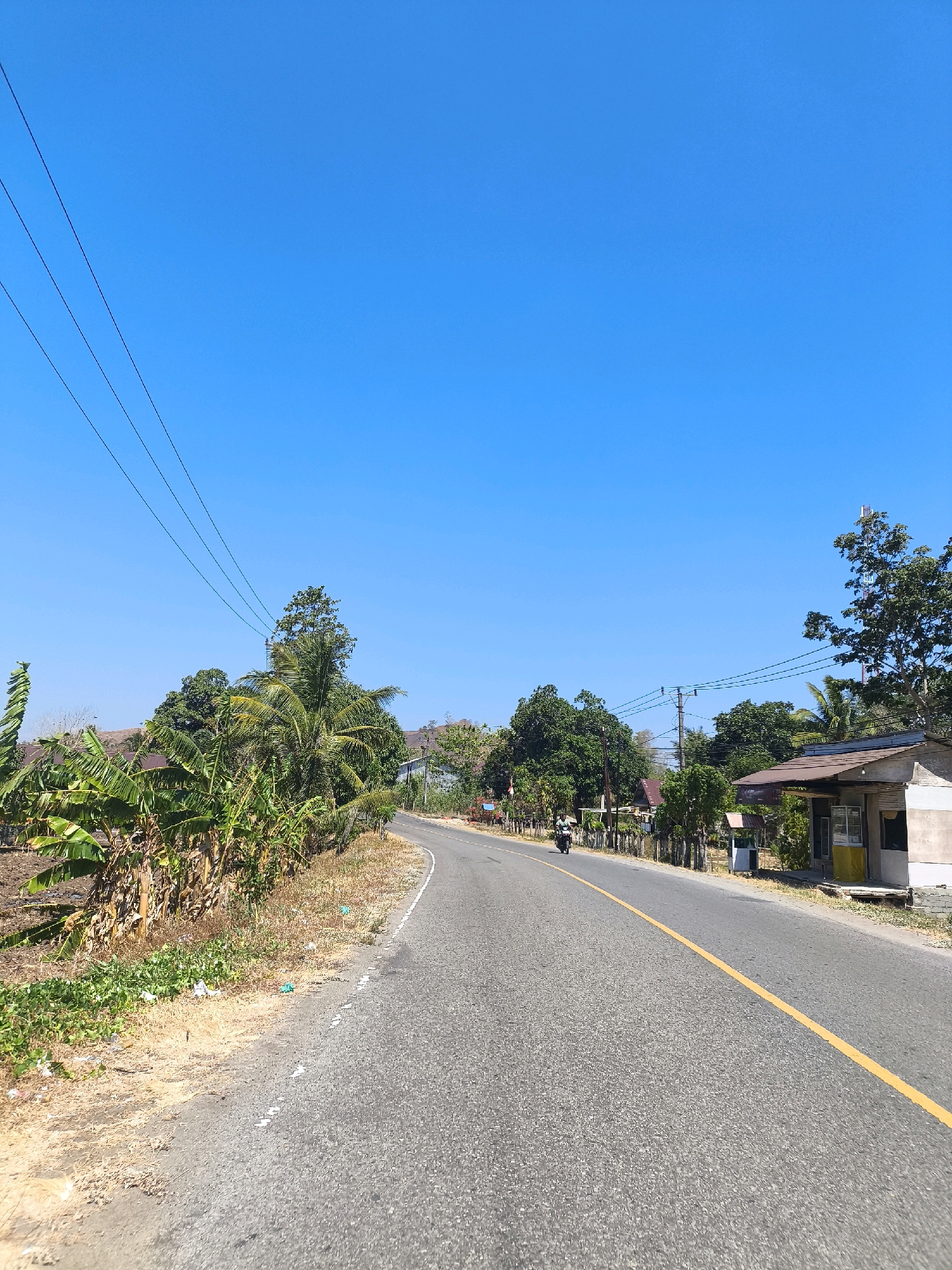 An eye-level, outdoor, vertical medium shot shows a road curving to the right under a clear, bright blue sky. Three thin, dark electrical wires stretch diagonally across the top left portion of the frame. On the left side of the road, banana trees with large, green leaves are prominent. Beyond them, a few buildings with brown roofs and white walls are visible. The right side of the road features a small building with a brown roof, a white facade, and a yellow counter or door. Further down the road on the right, more trees and structures are visible. A lone individual on a motorcycle travels on the road, heading away from the viewer. The road surface is asphalt with a single yellow line marking the center. The ground alongside the road on the left is dry, with some sparse vegetation and scattered litter. The scene appears to be a rural or semi-rural area.