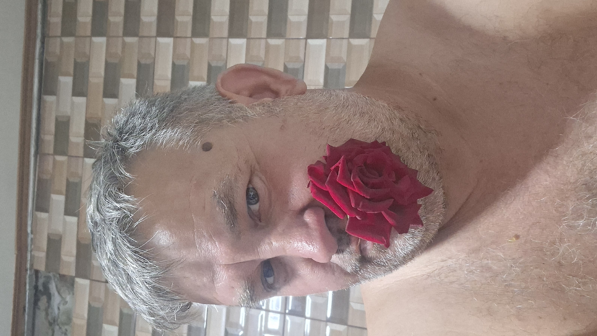 A close-up, head-and-shoulders selfie shows a fair-skinned man with graying hair and a beard. He is looking directly at the camera with a neutral expression. A single, dark red rose is held against his right cheek, partially obscuring his mouth. The background consists of a wall with rectangular, textured tiles in shades of beige and light brown. The lighting is soft, casting a slight shadow on the man's chest and neck. There are no discernible features that would indicate the location within Voinova, Moldova.