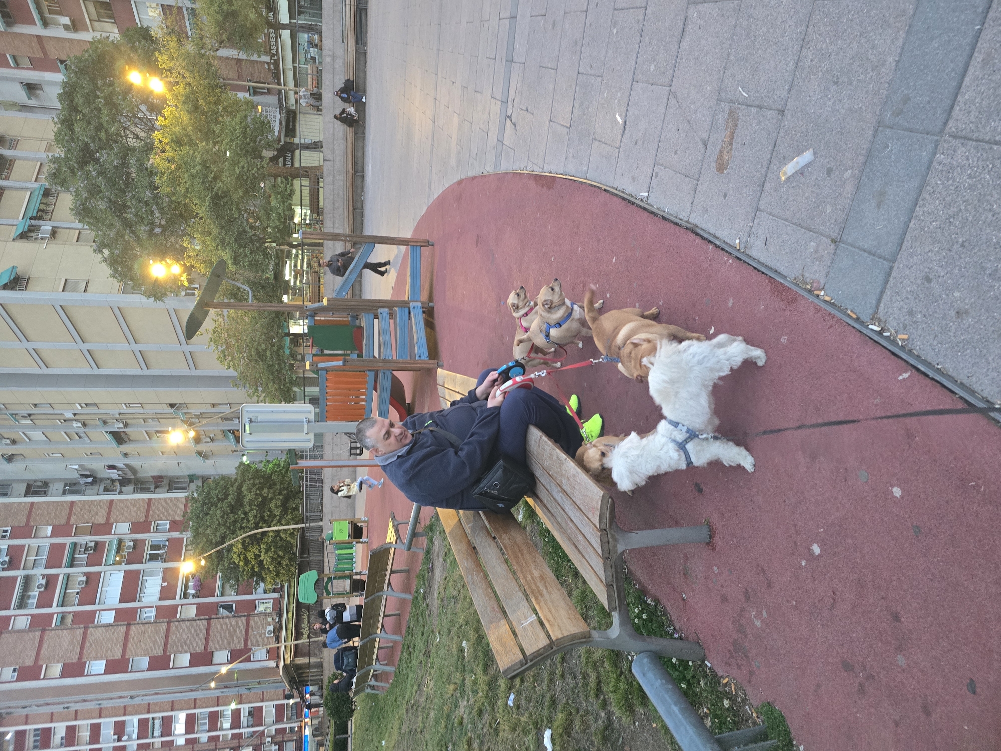 A medium-shot depicts a man sitting on a park bench in Cornellà de Llobregat, Spain, surrounded by dogs on leashes. The man is middle-aged, wearing a dark jacket and dark pants, with a black shoulder bag. He is seated with his legs crossed, holding a retractable dog leash. There are four dogs of varying breeds: two are tan-colored with harnesses, one is a light brown color, and one is white with a harness. The dogs are either standing or lying down near the bench. The bench is wooden with metal supports. The ground surrounding the bench is a red rubber surface. Adjacent to the red surface is a sidewalk made of light gray pavers.
In the background are buildings and trees, typical of an urban environment. A children's playground is also visible nearby. Other benches line the opposite side of the park area, some occupied by people. The lighting suggests it is dusk or early evening, as streetlights are illuminated.