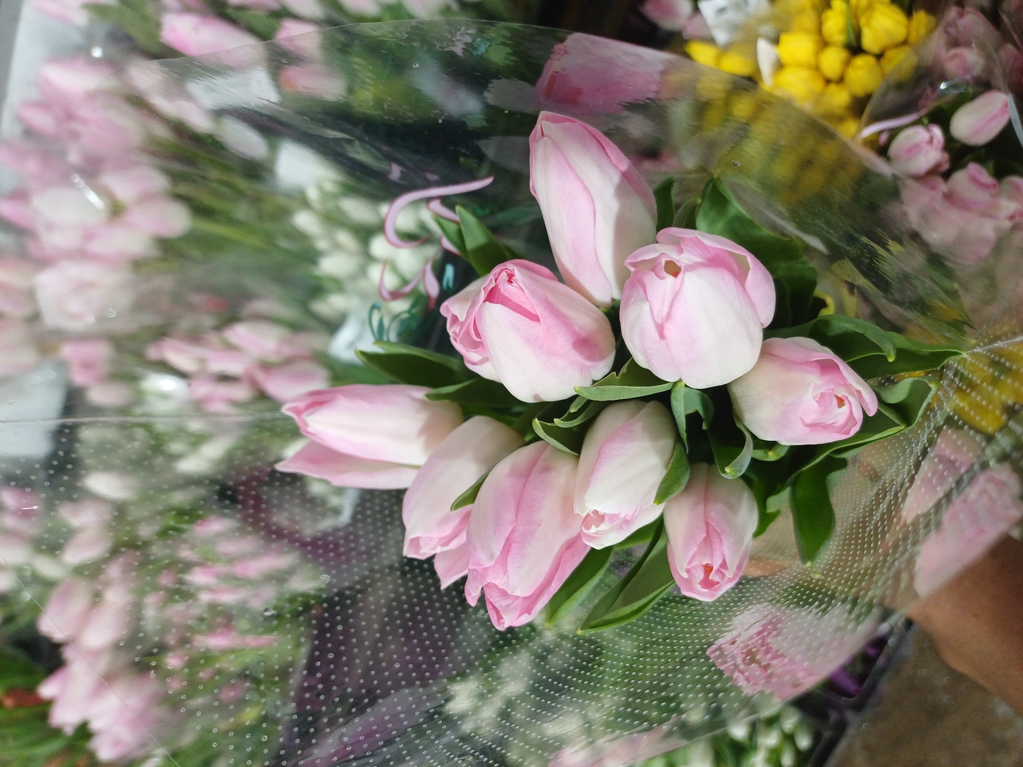 The image shows a bouquet of pink and white tulips wrapped in clear plastic. The tulips are the main subject, with several blooms visible in varying stages of opening. They are arranged in a cluster, with green leaves interspersed throughout. The plastic wrapping has a textured surface with small, raised dots. In the background, more pink and white tulips are visible, as well as some yellow flowers. The overall impression is of a flower shop or market. There is no discernible indication of the location being Kuala Lumpur, Malaysia.