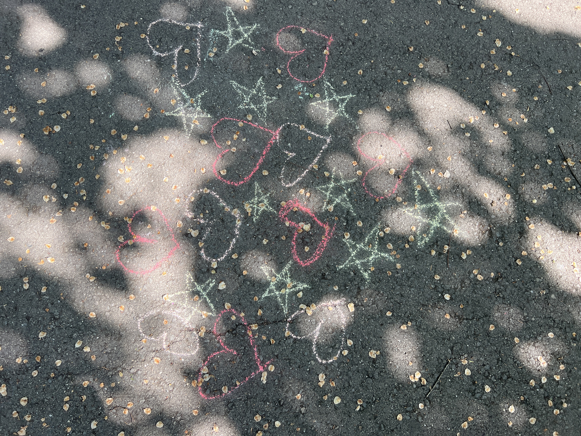The image shows a section of asphalt pavement covered with chalk drawings of pink hearts and light green stars. The pavement is also scattered with small, light brown, disc-shaped seeds. The area is partially shaded by tree foliage, creating dappled sunlight patterns on the ground. There are no people visible in the image. The location is unspecified, but the request mentions the city of Burgas, Bulgaria.