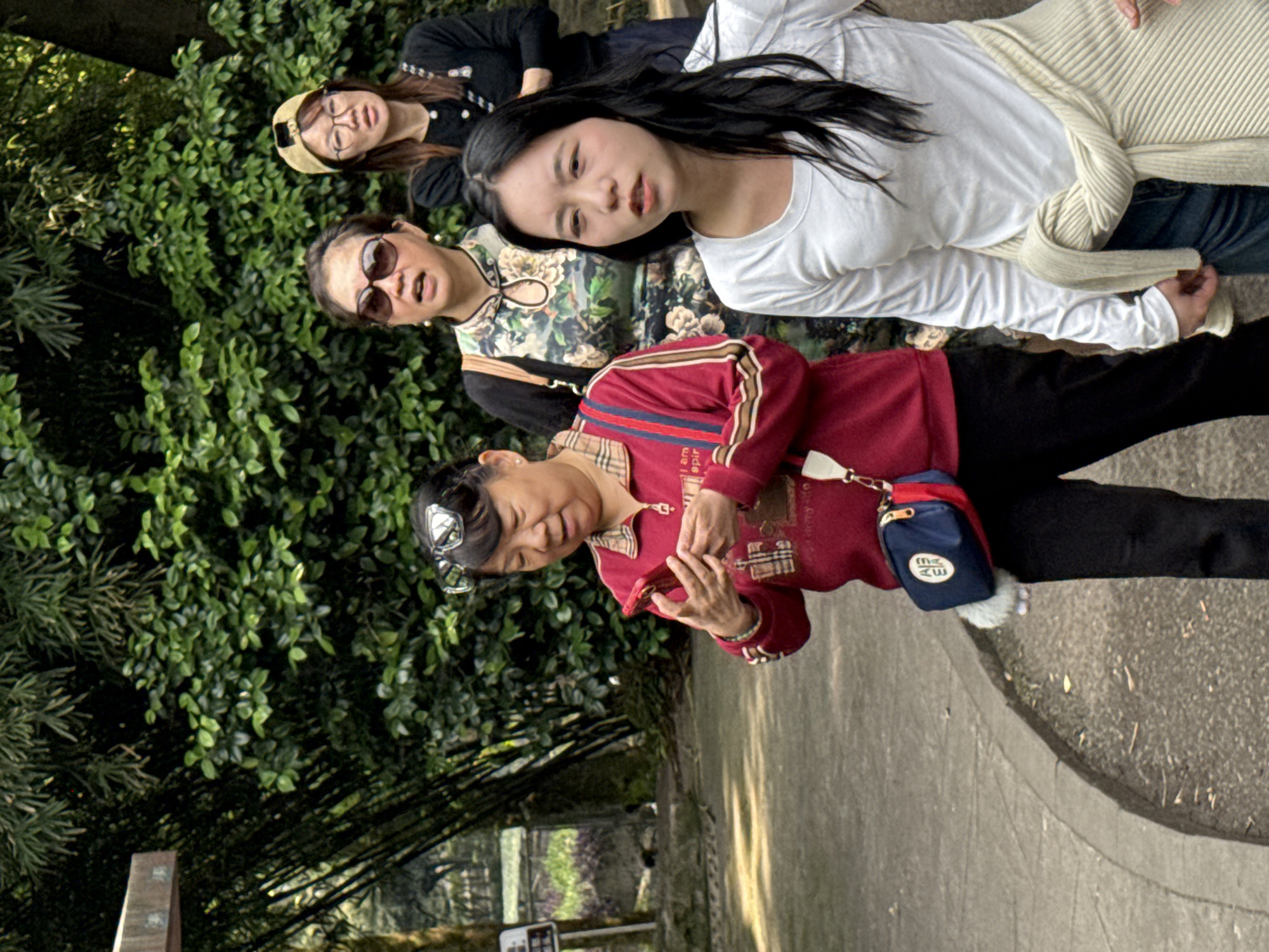 In Jiulongpo District, China, four women stand on a paved path near dense green foliage. The woman in the front wears a red and beige patterned sweater, black pants, and a blue purse. She holds a red phone and wears silver-rimmed glasses. Behind her, a woman in a floral patterned top and dark sunglasses looks towards the camera. Further back, a woman in a black top and a yellow baseball cap peers over the shoulder of the woman in the floral top. In the top right of the frame, the fourth woman wears a white long-sleeved shirt, jeans, and a beige sweater draped around her shoulders.