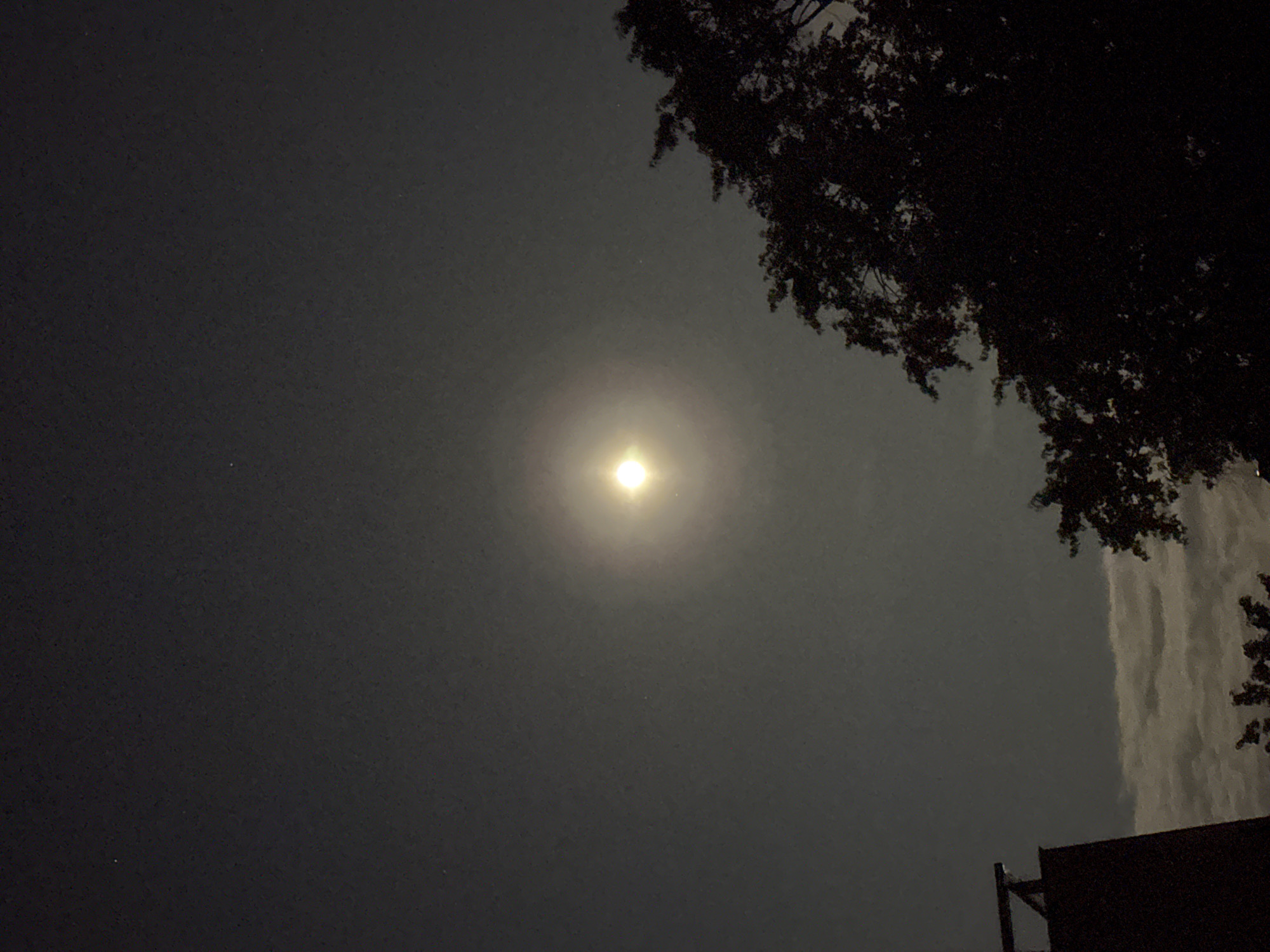 The image is a nighttime photograph taken outdoors, likely in Lübeck, Germany, given the prompt. A bright, full moon is prominently featured in the center of the frame, surrounded by a luminous halo, suggesting it is partially obscured by thin clouds or atmospheric haze. To the right of the moon, the silhouetted branches of a large deciduous tree fill the lower right portion of the image, its dark foliage creating a stark contrast against the night sky. In the lower left corner, the dark silhouette of a building with a visible roofline is partially visible. Below the moon and stretching across the lower part of the image are indistinct clouds, illuminated from above by the moonlight. The overall atmosphere is dark and serene, capturing a lunar scene. There are no people or animals visible in the photograph.