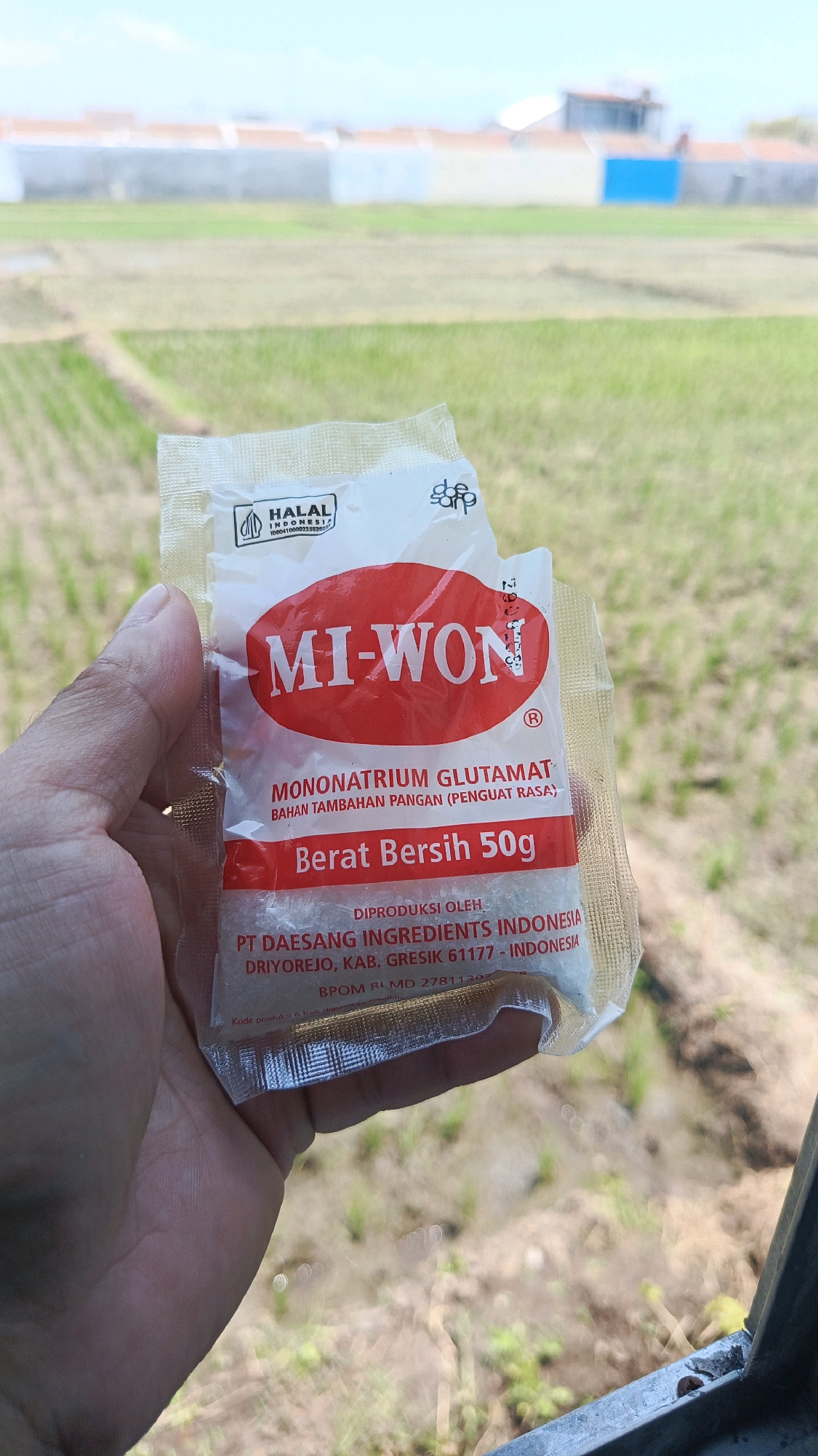 A person's hand is holding a small, clear plastic packet containing a white powder. The packet has a red and white label with the brand name "MI-WON" prominently displayed. Below the brand name, it states "MONONATRIUM GLUTAMAT BAHAN TAMBAHAN PANGAN (PENGUAT RASA)" and "Berat Bersih 50g" (Net Weight 50g). Further down, it indicates "DIPRODUKSI OLEH PT DAESANG INGREDIENTS INDONESIA DRIYOREJO, KAB. GRESIK 61177 - INDONESIA". The background of the image shows a blurry, bright green field, likely a rice paddy, with some houses or buildings in the distance. The overall lighting suggests it is daytime, possibly outdoors in a rural or agricultural setting in Babadan, Indonesia.