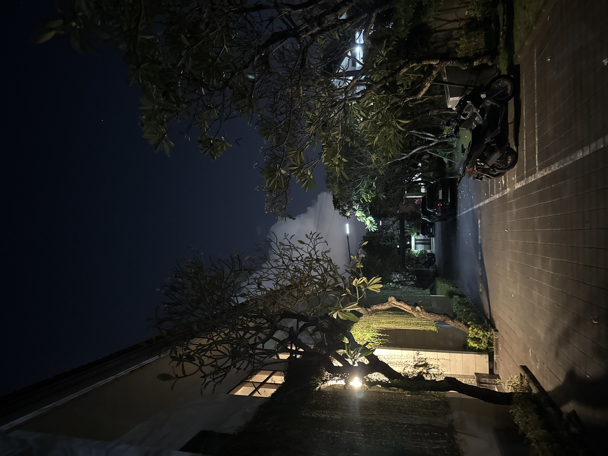 The image depicts a nighttime scene in Denpasar, Indonesia. The setting appears to be a paved area next to a building with some vegetation. A dark-colored motorcycle is parked on the right side of the frame, aligned with white parking lines. Trees with a mix of leaves and bare branches are prominent throughout the image, some casting shadows and others illuminated by artificial lights. One large tree with intricate branches occupies the foreground, its trunk and limbs silhouetted against the night sky.
In the background, a building with illuminated windows is partially visible, suggesting it is occupied. There's a sense of a residential or commercial area. The sky is dark, indicating it's night, with some faint clouds visible. The lighting in the scene comes from streetlights or lights from within the building, creating a somewhat moody atmosphere. The overall impression is of a quiet, possibly tropical, evening in a populated area. There is no visible text in the image.
