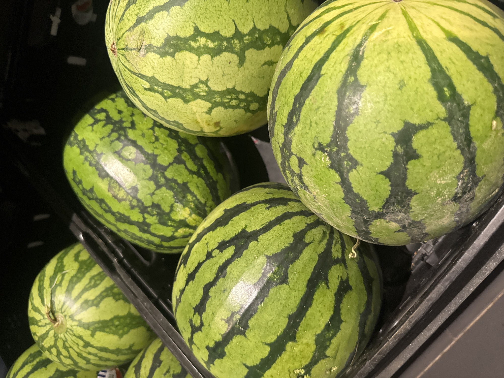 In a dark, blurry, indoor environment, a close-up shot focuses on a pile of watermelons. The watermelons are round to oval in shape, with a bright green rind featuring distinct dark green stripes. Some watermelons are positioned in the foreground, while others are in the background, arranged in a black plastic crate. The lighting appears to be artificial and somewhat dim, creating shadows and highlighting the texture of the watermelons' skin. No people are visible in the frame, and the exact location is unknown.