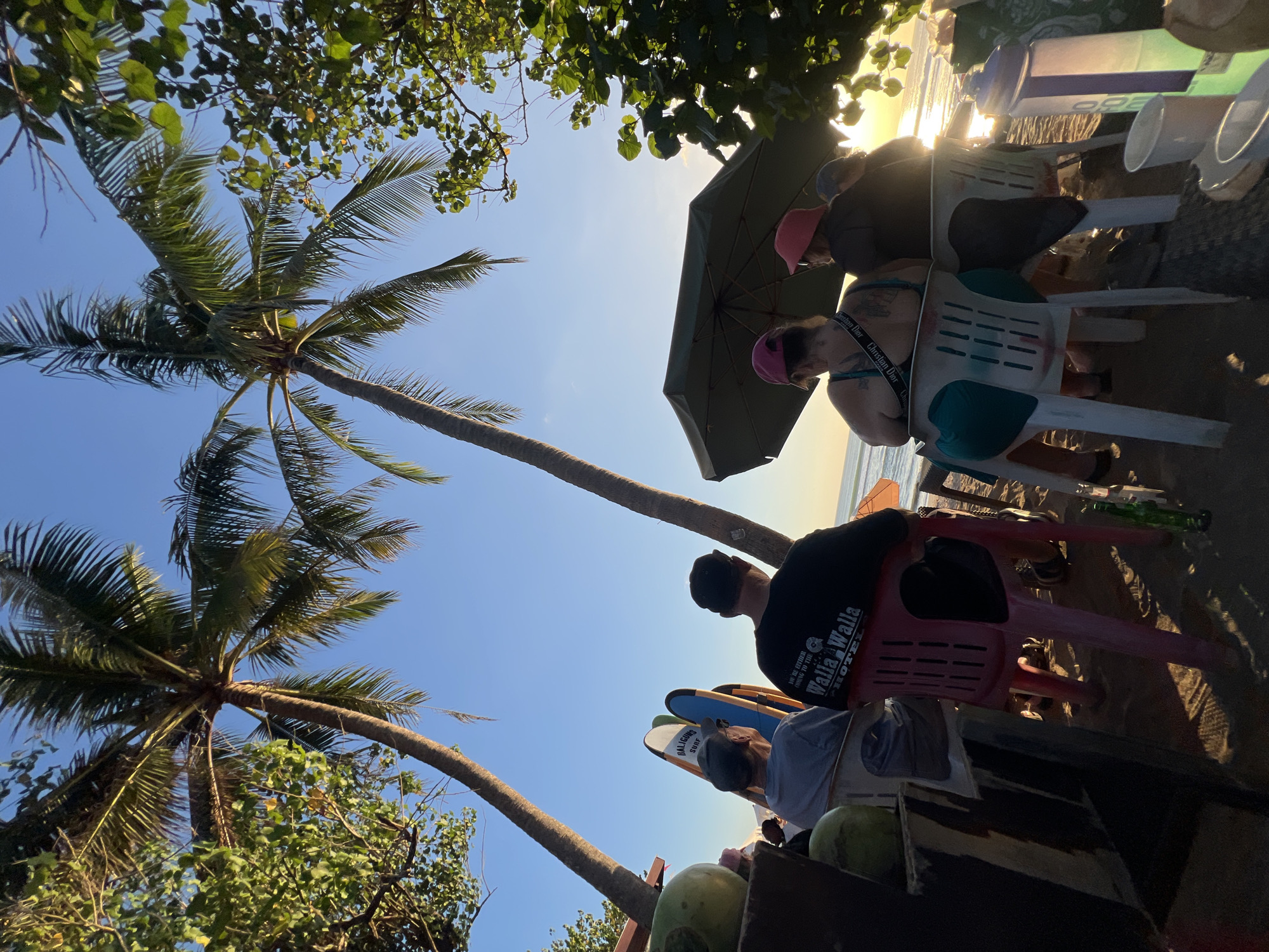 The image depicts a group of people sitting on chairs on a sandy beach in Kuta, Indonesia, facing the ocean at sunset. Two prominent palm trees frame the scene, with their fronds silhouetted against a clear blue sky. In the foreground, several surfboards stand upright, suggesting the location is a popular spot for surfing.
Three individuals are clearly visible from behind, seated in chairs and looking towards the water. The person on the left wears a grey t-shirt and a baseball cap. The person in the center wears a black t-shirt with text on the back that reads "Walla Walla HOTEL." The person on the right is wearing a dark shirt and a pink hat. Two other individuals are partially visible further to the right. An umbrella provides shade for some of the seated individuals.
The beach sand is visible beneath the chairs, and scattered objects include green coconuts, a green glass bottle, and some white plastic cups. The sun is low on the horizon, casting a warm glow over the water and creating reflections on its surface. Lush green foliage from trees partially obscures the upper right portion of the image. The overall atmosphere suggests a relaxed evening setting, possibly at a beachside bar or restaurant.