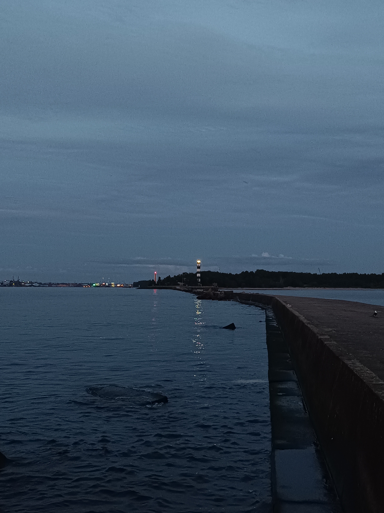 The image depicts a twilight scene at the Riga Port, likely taken from the Vārnas salā area looking towards the lighthouse at the Daugava River mouth. The sky is a deep, muted blue, with scattered clouds. The dark, calm water of the Daugava River occupies the left and lower portions of the frame. On the right, a concrete pier extends into the water. In the distance, the Riga city skyline is visible, marked by numerous illuminated buildings and port structures. A prominent black and white striped lighthouse stands near the horizon on the right side, its light beams faintly visible. The water surface shows reflections of distant lights and the sky, with a few dark, submerged objects visible just below the surface. Two seabirds are perched on the pier. The overall atmosphere is serene and captures the transition from day to night in an urban port environment.