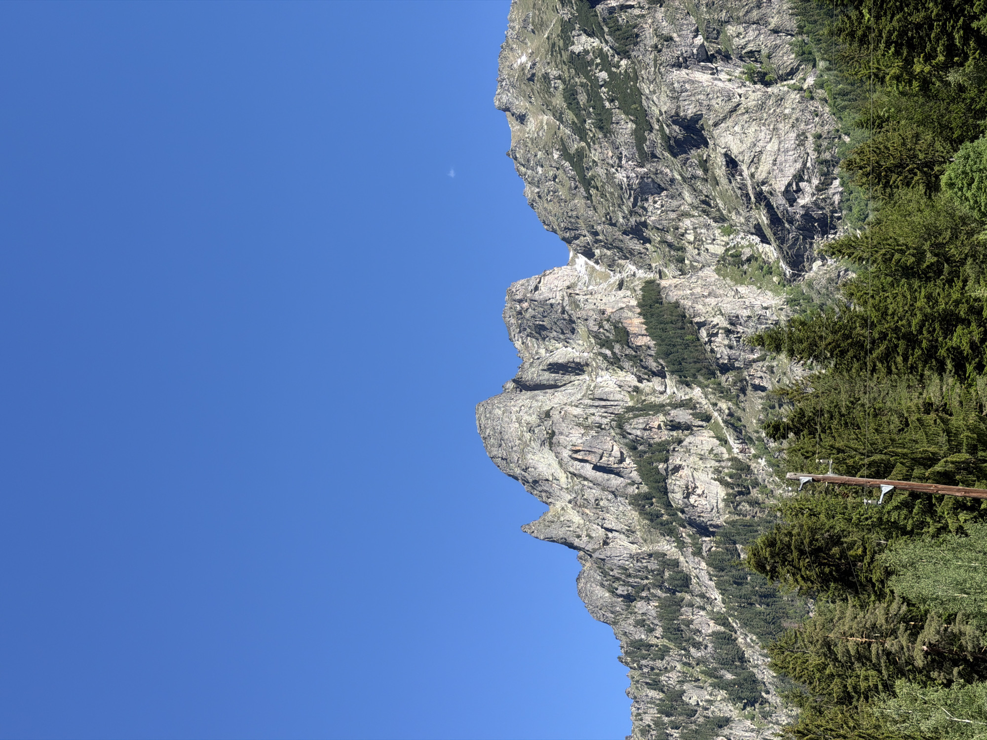 The image captures a dramatic mountain landscape under a clear, bright blue sky. The foreground is dominated by a dense forest of dark green coniferous trees, with some lighter green deciduous trees interspersed. A single wooden utility pole with electrical insulators is visible on the right side of the frame, suggesting the presence of infrastructure.
Behind the forest, a towering, rugged mountain range rises steeply. The mountains are characterized by their rocky, grey surfaces, with visible striations and crevices. Patches of green vegetation, likely alpine shrubs or grasses, cling to the lower slopes and some higher ledges. There are hints of snow in shaded crevices on the upper reaches of the mountains. The peaks are sharp and jagged, indicative of an alpine environment. A tiny, almost imperceptible white speck, possibly a distant cloud or the moon, is visible in the upper right quadrant of the sky.
The scene appears to be located in the vicinity of Govedartsi, Bulgaria, a region known for its mountainous terrain and natural beauty, likely within the Rila Mountains. The overall impression is one of a vast, wild, and natural landscape bathed in sunlight, with a subtle indication of human presence through the utility pole.