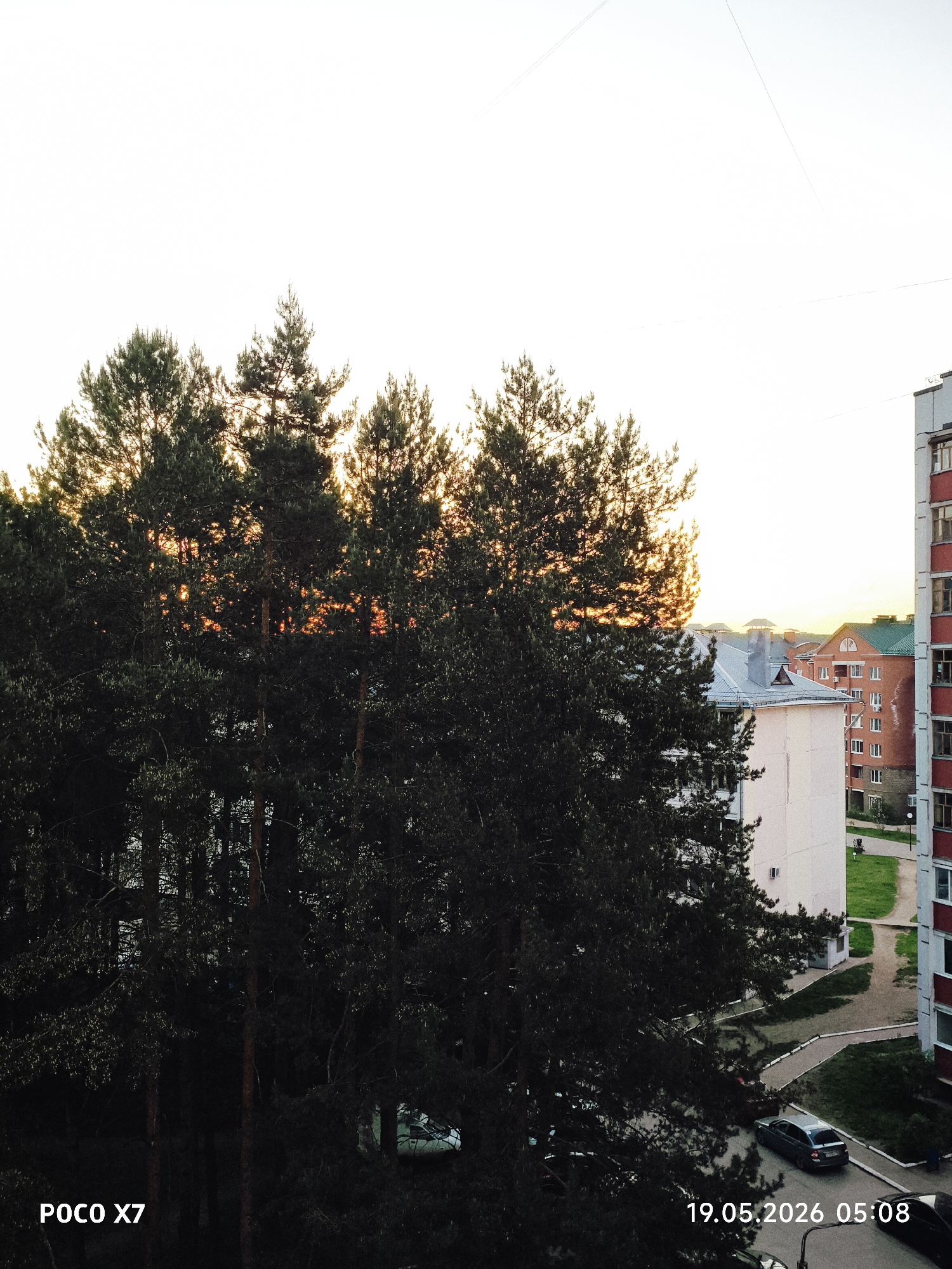 The image depicts a view of an urban landscape at sunrise or sunset. The foreground is dominated by a dense group of tall, dark green pine trees that partially obscure the view beyond. Through the branches, glimpses of sunlight create a warm glow. Several buildings, including multi-story residential apartments, are visible. The buildings are primarily white and red, with some having gray roofs. Cars are parked in a courtyard in front of the building. At the bottom of the image is the date "19.05.2026 05:08" and "POCO X7". The location is identified as Chaikovsky, Russia.