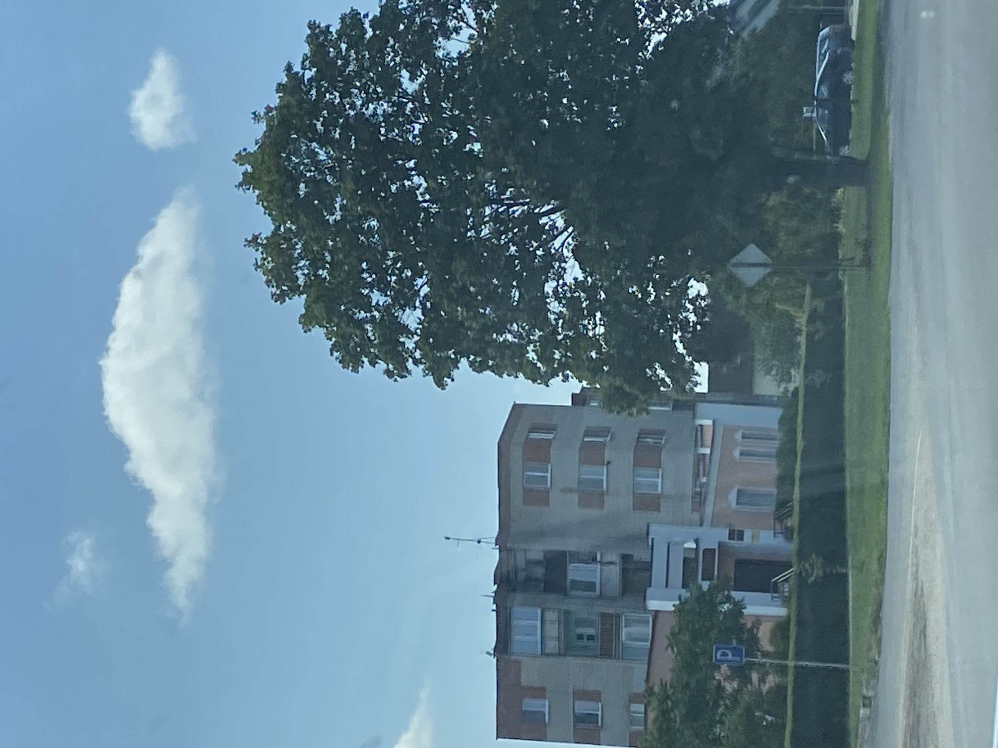 The image depicts an overcast sky with a few scattered clouds above a residential building and a large tree. The building appears to be a multi-story apartment complex with a mix of brick and concrete facades, featuring numerous windows. In front of the building, there is a sign indicating parking. A large deciduous tree with dense foliage dominates the right side of the frame. The area surrounding the building and tree appears to be a green space with grass and a hedge. The scene is likely situated in a suburban or semi-urban area, possibly within the Матыкальскі сельскі Савет, Belarus, given the context. There are no people visible in the image.