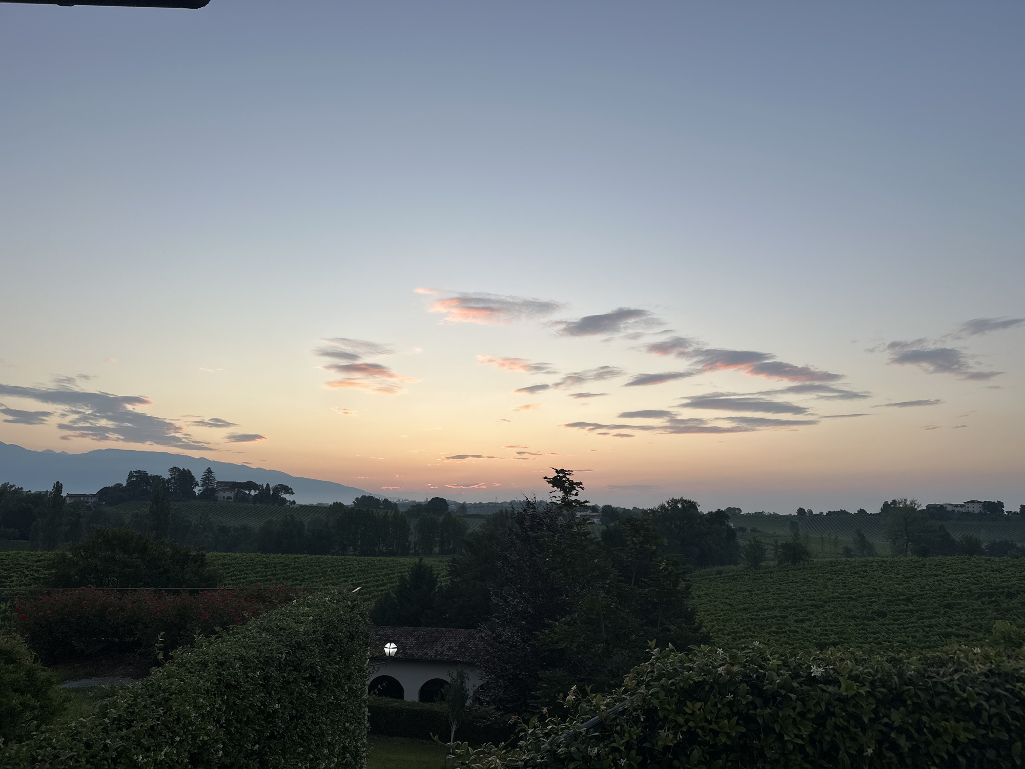 The image depicts a serene rural landscape at dawn or dusk, likely in the vicinity of Conegliano, Italy, a region known for its vineyards. The sky is a gradient of pale blue and soft pink, with scattered clouds catching the warm light of the setting or rising sun. In the middle ground, rolling hills are covered with lush green vineyards, creating a textured pattern. Scattered trees and a few distant buildings are visible atop the hills. The foreground is dominated by dense green foliage and hedges, with a portion of a building featuring arched openings and a single lit window visible on the right side. The overall atmosphere is tranquil and picturesque, suggesting a peaceful countryside setting.