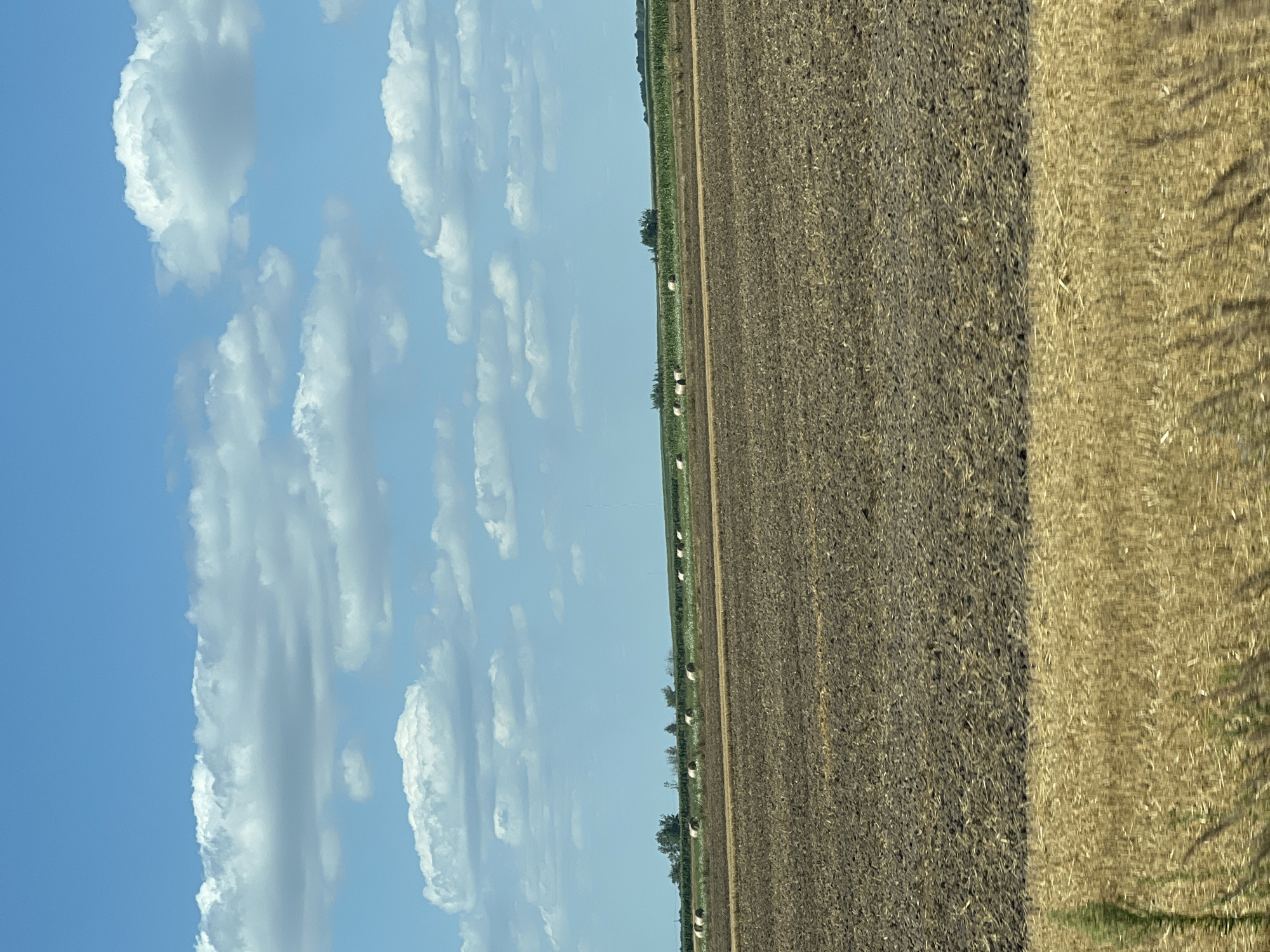 The image depicts an agricultural landscape under a sky dotted with cumulus clouds. In the foreground, a field of dry, golden stubble runs horizontally across the bottom of the frame. Behind this, a larger field of dark, tilled soil occupies the middle ground. Further in the distance, a line of round hay bales is visible, stretching across a green field of crops, possibly corn, which gives way to a distant tree line and a faint horizon. The scene appears to be a rural setting in the vicinity of Rădășeni, Romania. There are no people or animals visible in the image.