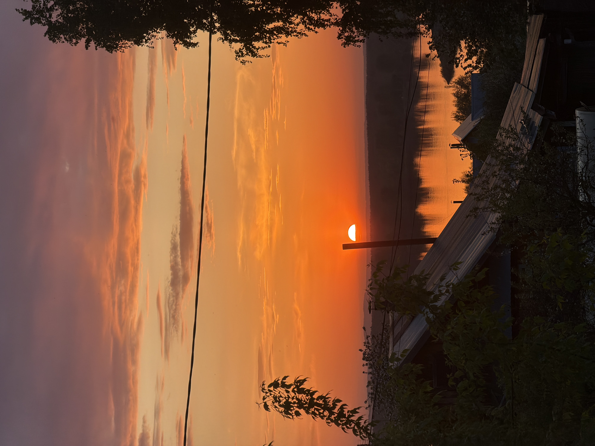 The image depicts a sunset over a body of water, possibly a river or lake, in Chaikovsky, Russia. The sun is partially obscured by a horizon line, casting a bright orange glow across the sky and reflecting on the water. The sky ranges in color from orange near the sun to pale purple toward the left side of the frame. Silhouetted trees frame the top of the image. Utility poles and wires are visible. Some structures, possibly houses or sheds, are visible on the right side, with partial roofs. Leaves and branches from trees and plants obscure part of the buildings. The overall scene suggests a rural or suburban setting.