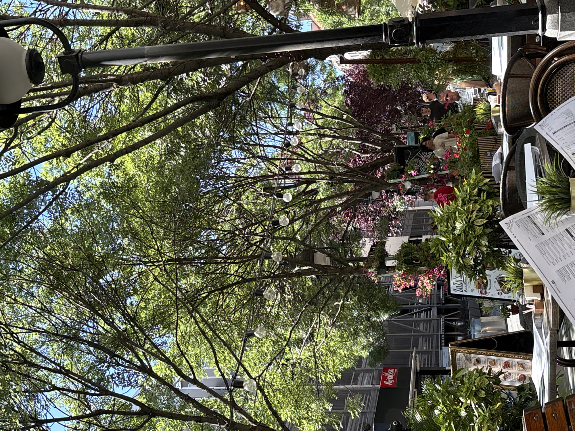 The image depicts an outdoor seating area of a cafe or restaurant, likely in a pedestrian zone in Belgrade, Serbia, given the presence of the "Zuzu's" sign and the overall urban ambiance with trees and outdoor lighting. The scene is characterized by a lively atmosphere under a canopy of lush green trees, with string lights overhead. Tables are set with menus, and patrons are seated, engaged in conversation or dining.
In the foreground, a table is laden with menus and other items, suggesting recent activity. Behind it, several chairs and more tables are visible, indicating a bustling dining establishment. A tall, black lamppost stands prominently on the right side of the frame, adding to the urban charm.
Further back, a variety of plants and flowers, including pink blooms, contribute to the setting's natural beauty. Several people are seen scattered throughout the seating area, some standing and conversing, while others are seated at tables. A man is prominently seated in the middle ground, appearing to be interacting with someone off-camera.
The background reveals buildings with architectural details, and a red sign displaying "Mokigrosk" can be spotted, likely a commercial establishment. The presence of these elements collectively paints a picture of a vibrant urban space where people gather to enjoy a meal or drinks outdoors. The overall impression is one of a pleasant, sunny day in a lively city environment.