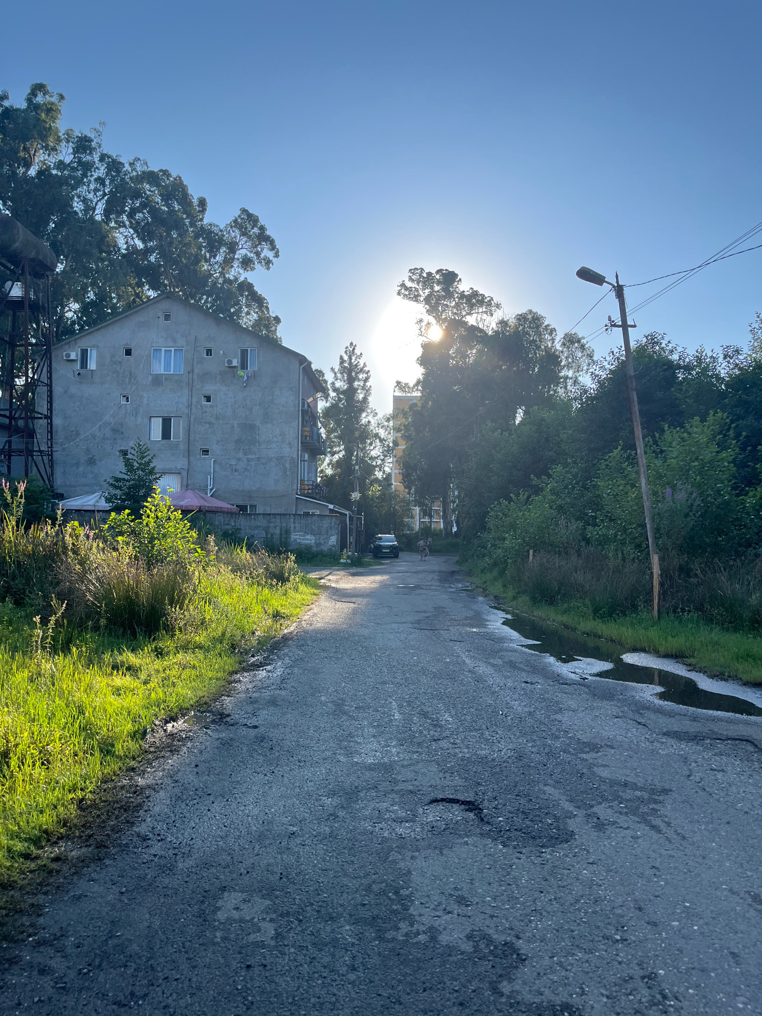 The image depicts a paved road in Ureki, Georgia, leading through a residential area characterized by buildings and abundant greenery. The sun is prominently visible, partially obscured by trees and the horizon, creating a bright flare. On the left, a light-colored, multi-story building with multiple windows and air conditioning units stands adjacent to overgrown grass and vegetation. A partially visible metallic structure is attached to the left side of this building. On the right side of the road, tall trees and dense foliage line the path. A wooden utility pole with a streetlamp and electrical wires is situated along the right edge of the road. The road surface appears aged and somewhat damaged, with visible potholes and puddles of water, suggesting recent rainfall or damp conditions. A dark-colored car is parked further down the road, and a person is walking in the distance. The overall scene suggests a semi-urban environment with a natural backdrop, bathed in the warm light of the sun.