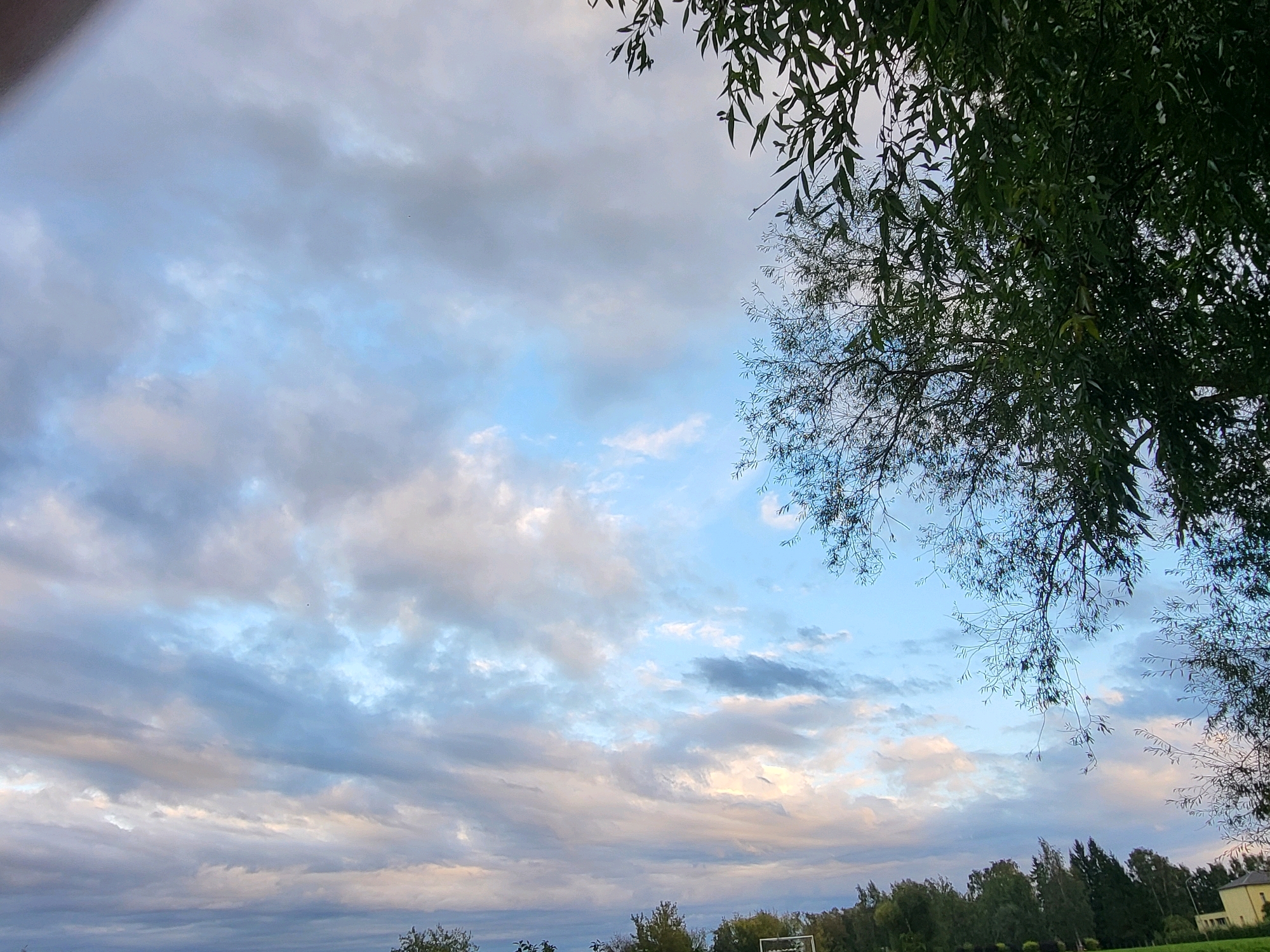 An exterior, eye-level, wide-angle shot captures a cloudy sky over a landscape in Kalnciems, Latvia. The sky is filled with a mix of white, gray, and light blue clouds, with hints of pink and yellow appearing near the horizon. Foliage from a tree hangs down from the top right corner of the frame, obscuring portions of the sky. The lower portion of the image reveals a line of trees, some appearing fuller and greener than others, with a yellow building visible on the far right. In the distance, a white structure resembling a goalpost can be seen on the left side of the frame. The lighting suggests it is either early morning or late afternoon. There are no people or animals visible in the image.