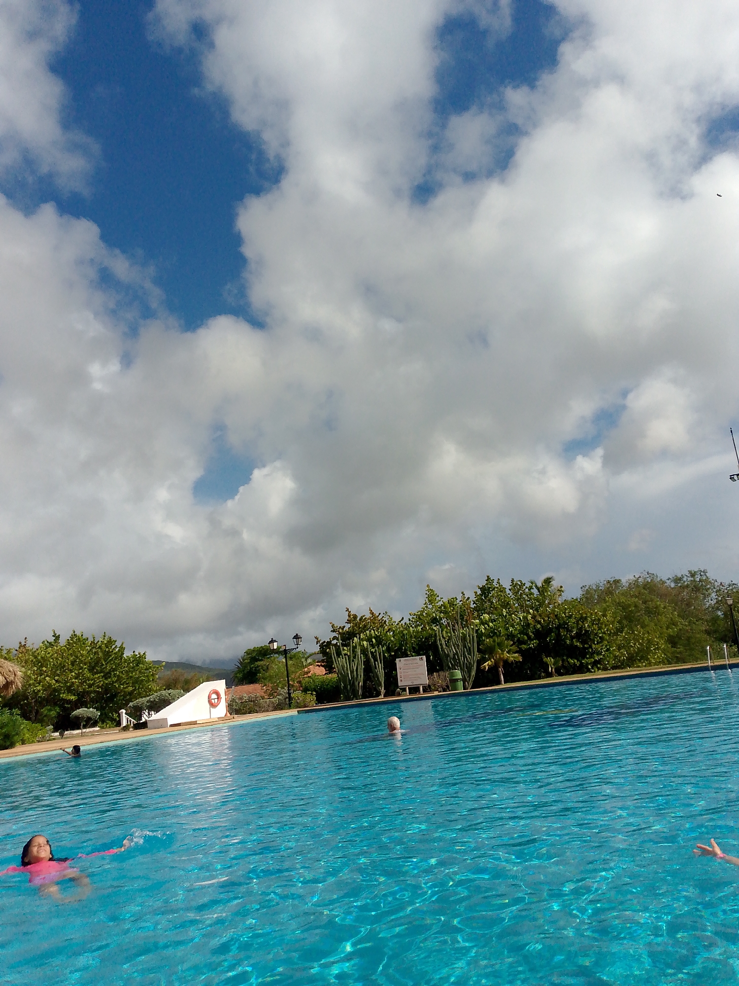 The image depicts a bright, sunny day at an outdoor swimming pool, likely in Pedro González, Venezuela, given the presence of lush vegetation and clear blue water. In the foreground, a young girl in a pink swimsuit is swimming on her back, her face tilted upwards with her eyes closed. To the left, further in the pool, another child is visible swimming on their stomach, with their head slightly above the water. In the midground, an older person with white hair is partially submerged in the water. The pool itself is large and features vibrant turquoise water. The background shows a well-maintained landscape with various trees, including palm trees and cacti, and a white structure that appears to be a water slide or a ramp. The sky is a mix of bright blue with fluffy white clouds, and a small dark silhouette, possibly a bird or an airplane, is visible high in the sky. A lamppost stands near the edge of the pool. The scene conveys a sense of leisure and recreation.