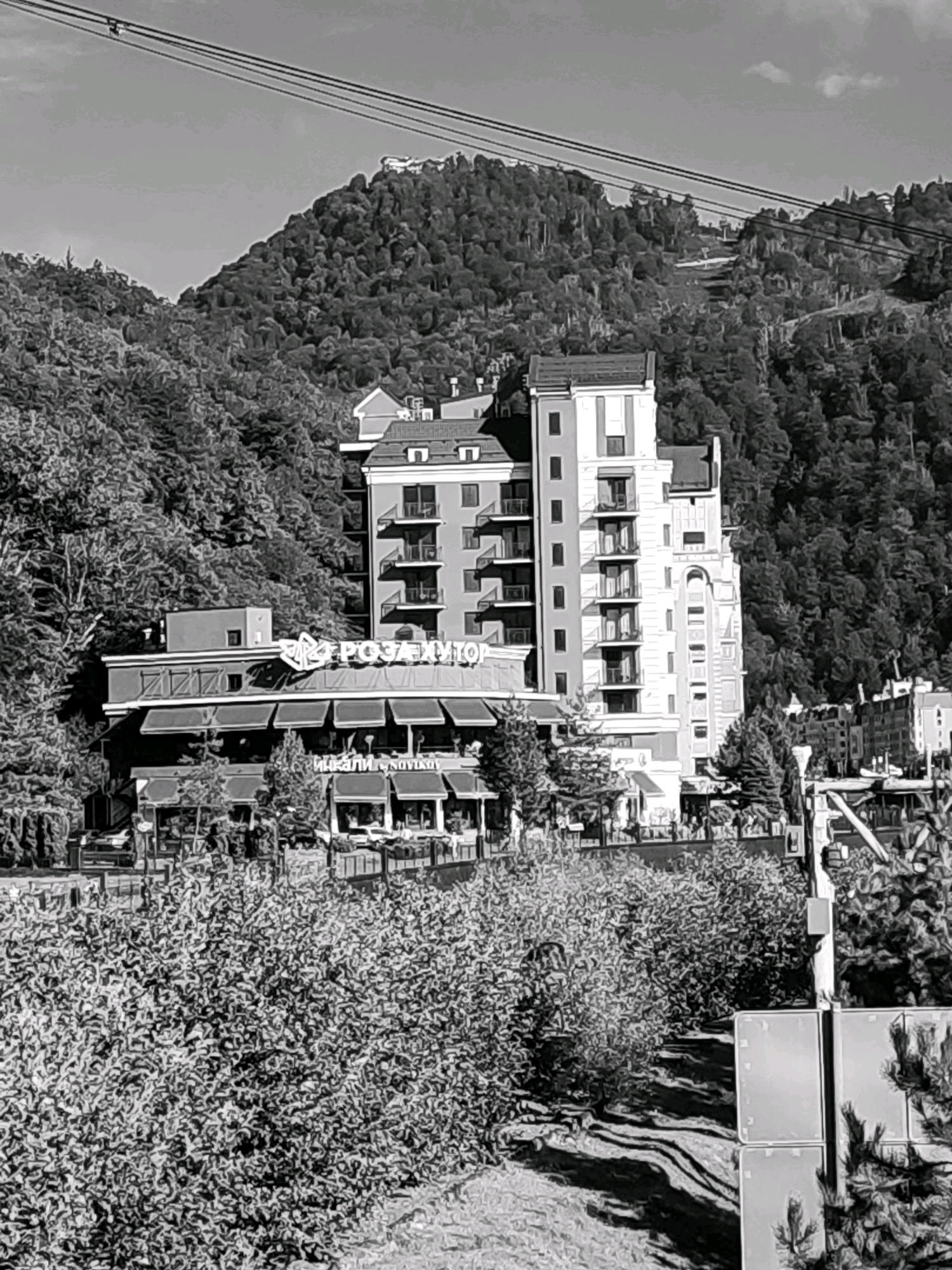 The image shows a view of buildings and a mountain landscape in Estosadok, Russia. In the foreground, there is dense green foliage. Behind the foliage, a multi-story building with awnings and a sign that reads "РОЗА ХУТОР" is visible. Further back, a taller, multi-story building with balconies and arched windows stands against a backdrop of a densely forested mountain. Overhead, there are power lines or a cable car track running across the frame. The overall scene depicts a resort area with natural and architectural elements.