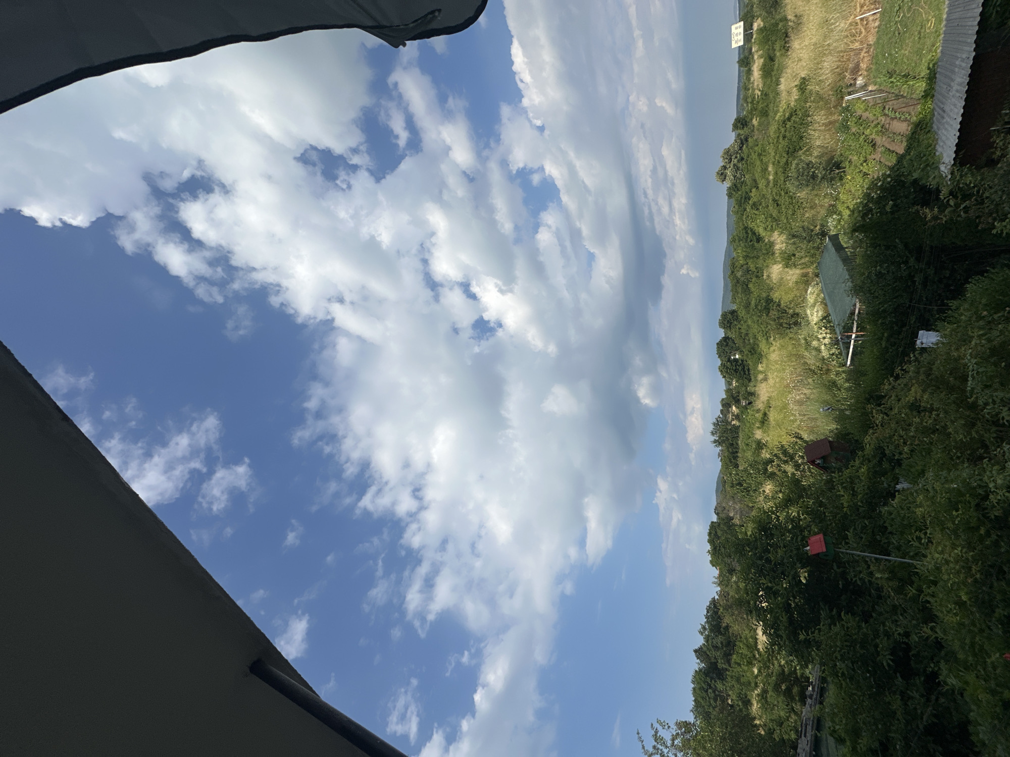 The image displays a panoramic view of a rural landscape under a partly cloudy sky, possibly taken from an elevated vantage point in Chernomorets, Bulgaria. In the foreground, dark, shadowed structures partially obscure the view of lush green vegetation and trees. Amidst the greenery, two birdhouses are visible: one predominantly red with a green roof, mounted on a pole, and another, smaller, brown birdhouse with a pitched roof. Beyond the dense foliage, a field of tall, dry grass stretches into the middle ground, interspersed with rows of cultivated plants, likely a garden. A small, green-roofed awning covers a structure in the middle distance. The horizon is marked by a line of rolling green hills and trees under a vast blue sky filled with white, cumulus clouds. In the far distance, a white billboard or sign is visible to the right. The overall impression is one of a peaceful, natural setting on the outskirts of a town.