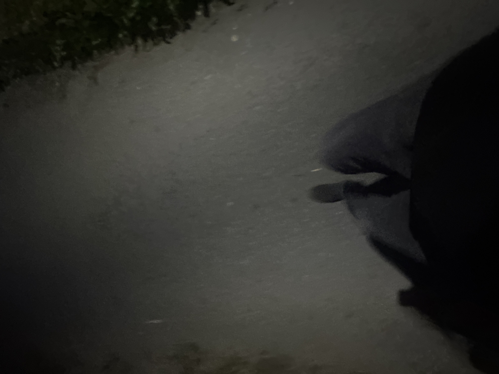 A low-angle, first-person perspective shot captures a person's legs and feet walking on a paved surface, possibly a sidewalk or path, at night. The lighting is dim, casting long shadows and obscuring details. To the right, a dark, blurry area suggests foliage or bushes bordering the path. The overall impression is one of movement and solitude in a dimly lit urban or suburban environment.