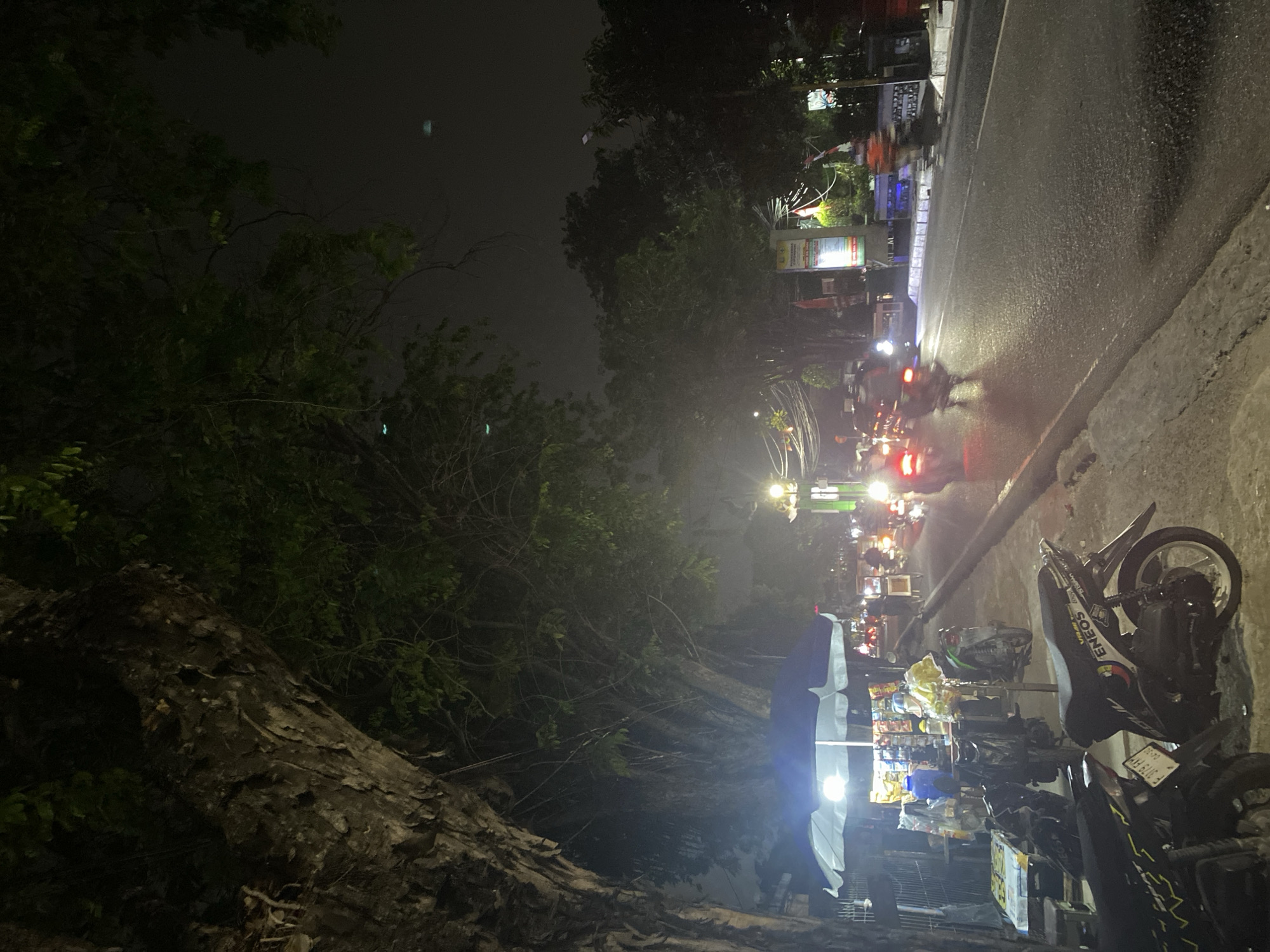 The image depicts a street scene at night in Tangerang, Indonesia. A large, old tree with rough bark dominates the left side of the frame, its branches casting shadows. In the foreground, several parked motorcycles are visible on a paved sidewalk. One motorcycle, with the license plate "F 3076 FXY", is particularly prominent.
Adjacent to the sidewalk is a street with a few vehicles, including motorcycles, moving. The street is illuminated by streetlights and the headlights and taillights of the vehicles. On the right side of the road, there are buildings and advertisements, one of which has a sign with Indonesian text.
Further down the sidewalk, there is a small food stall or kiosk covered by a blue and white umbrella, with various items displayed for sale. The overall atmosphere is one of a bustling urban street at night, with the glow of lights and the presence of vendors and traffic. The environment appears to be somewhat misty or humid, contributing to the nocturnal ambiance.
