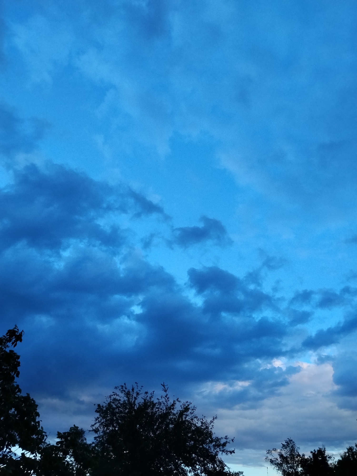 The image depicts a cloudy, blue sky above a silhouetted treeline. The sky is filled with a mix of dark, heavy clouds and lighter, wispy formations, creating a dramatic and somewhat ominous atmosphere. The clouds vary in density, with some appearing almost black against the lighter blue background. Towards the bottom of the frame, the dark silhouettes of trees and branches obscure the horizon. There are no people, animals, or structures visible in the image. The scene appears to be an outdoor view, likely taken during twilight or overcast conditions.