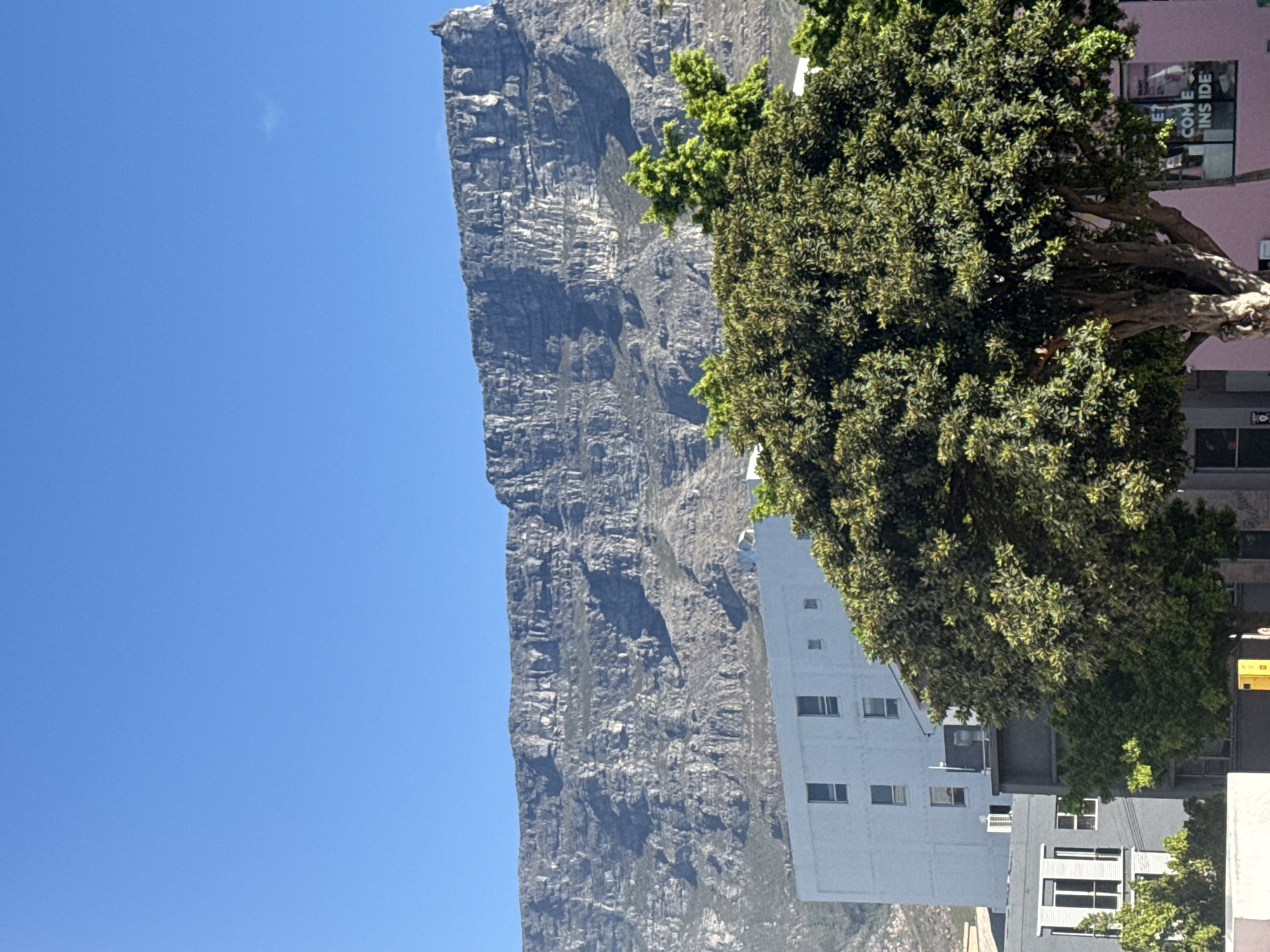 The image displays a static daytime urban landscape in Cape Town, South Africa, featuring Table Mountain as the prominent background element under a clear, bright blue sky. A single, faint white cloud is visible in the upper right quadrant of the sky. Table Mountain displays a rugged, grey and brown rock face with distinctive horizontal stratification and a flat summit, occupying the upper half of the frame. In the midground, urban structures include a multi-story, light grey building with dark rectangular windows, partially obscured by foreground foliage. Below it and to the left, a darker grey building with white-framed windows and closed shutters is visible, featuring an external air conditioning unit on its side. To the right in the midground, a building with a light pink facade displays a window sign with partially visible text, "COME INSIDE." The foreground is dominated by a large, dense green tree with a thick, gnarled trunk, obscuring portions of the buildings. A yellow utility box or street fixture is partially visible at the bottom center, near the tree's base. No human figures or discernible actions are depicted. The scene is illuminated by direct sunlight, indicating clear weather.