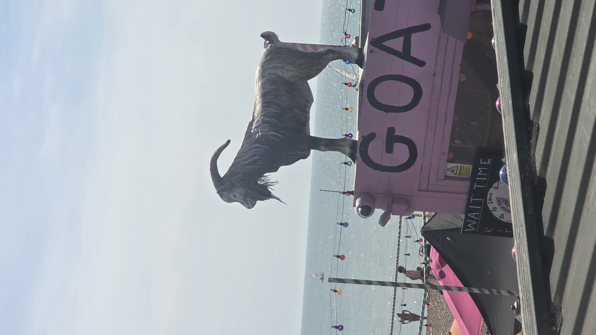 A full shot captures a sculpture of a goat standing atop a pink structure with the word "GOAT" painted in large black letters. The structure appears to be a kiosk or stall situated on a pebble beach. In the background, the sea stretches to the horizon under a hazy sky. A string of colorful lights hangs across the front of the pink structure, and various beachgoers are visible in the distance. To the left, part of a beach umbrella and a black tent are visible. A sign on the pink structure reads "WAIT TIME," with a clock face indicating an hour. The foreground shows the ribbed surface of a dark-colored roof. The scene suggests a lively, possibly festival-like atmosphere on a beach in St Leonards, United Kingdom.