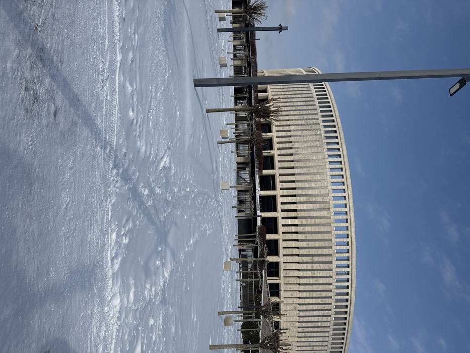 The image depicts a winter scene outside the FC Krasnodar Stadium in Plodorodny, Russia. The stadium, a large, circular structure with a textured, light-colored facade of vertical ribbed panels and numerous rectangular windows, dominates the background under a clear blue sky. In the foreground, a wide expanse of ground is heavily covered in fresh, undisturbed snow, with clear human footprints forming paths and faint tire tracks visible closer to the camera. Several tall, slender, dark grey lampposts with modern LED fixtures are positioned across the scene, one prominently in the immediate foreground, casting long shadows. Numerous small, deciduous trees with bare branches are sparsely planted throughout the snow-covered area, each supported by a light-colored, cuboid base or planter. Dark-colored pergolas or covered walkways are visible in the midground, leading towards the stadium entrance areas. No individuals are visible in the frame. The scene is illuminated by bright daylight, indicating clear weather.