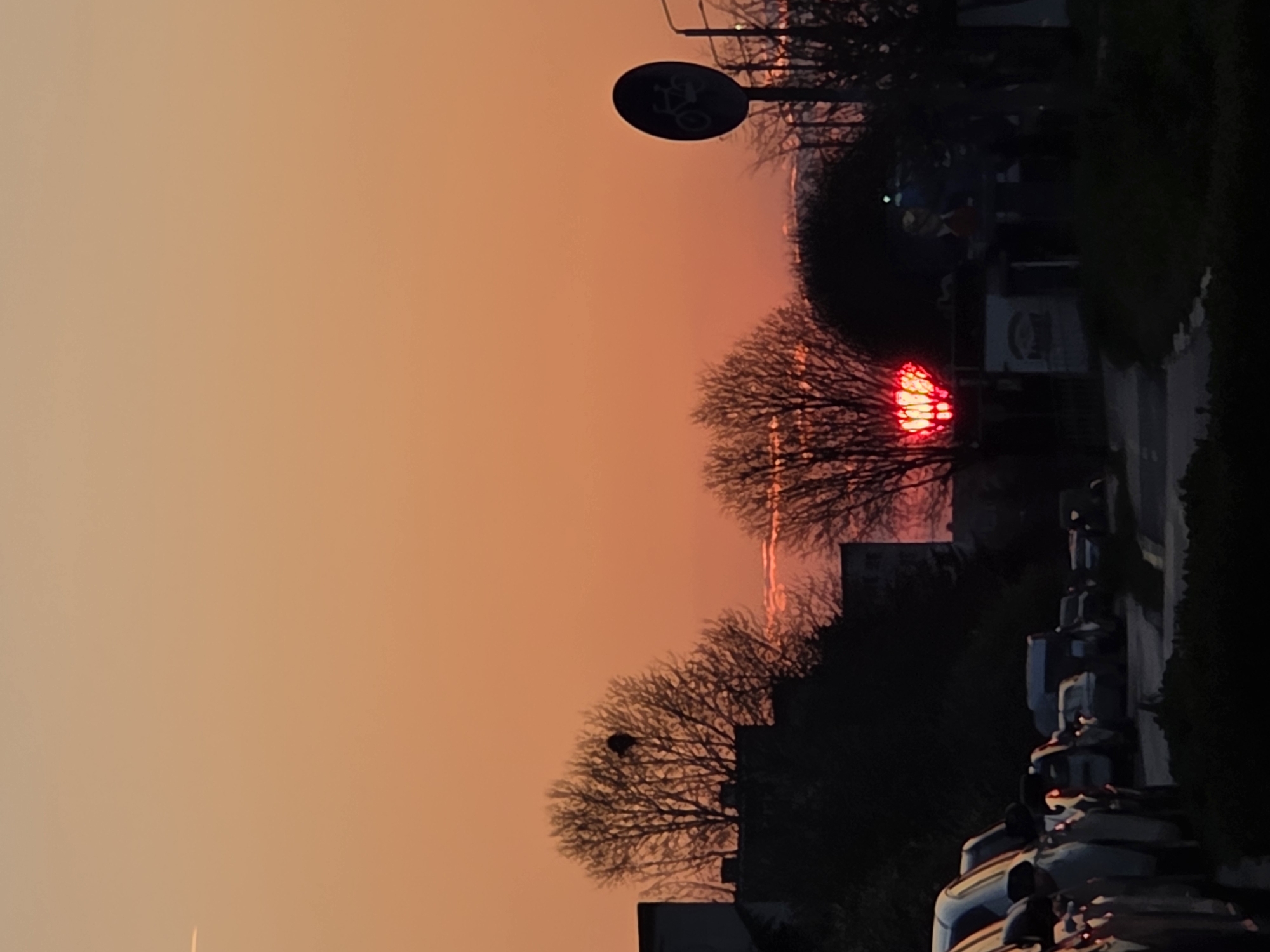 The image shows a sunset in Varna, Bulgaria. The sky is a gradient of orange and peach. Silhouetted against the sunset are trees, a sign, a building, cars, and vegetation. The sun is partially obscured by the trees, creating a red glow.