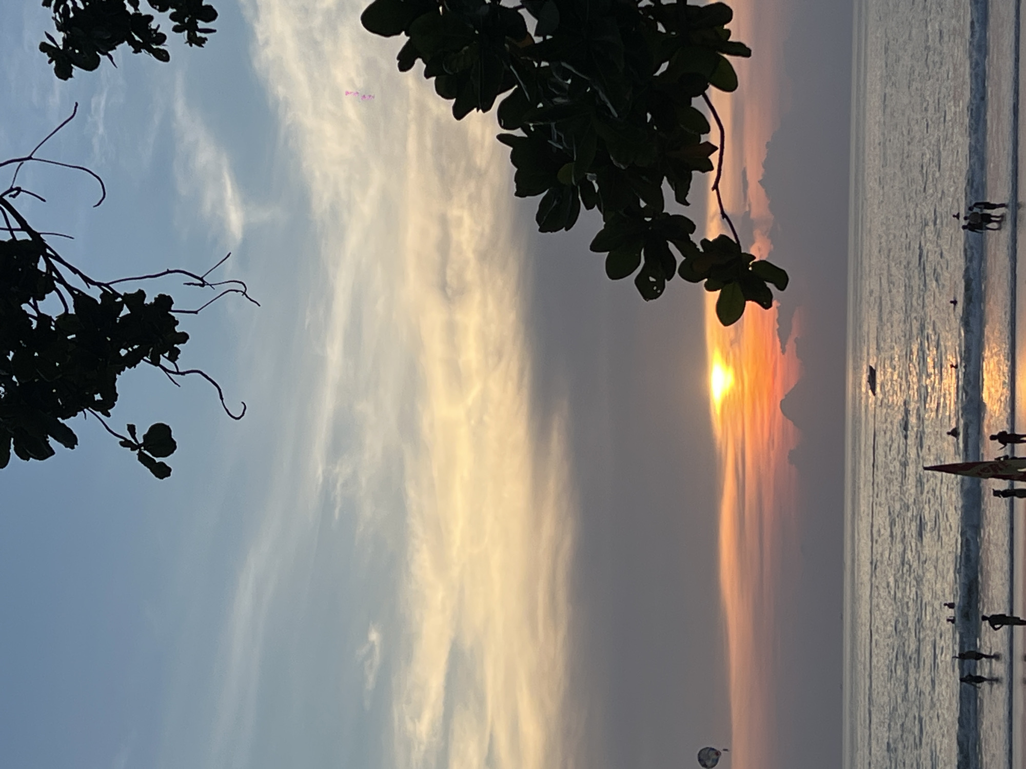 An undated, vertical, medium shot captures the sunset at Patong Beach, Thailand. The sky is a gradient of soft blue, transitioning to warm yellow and orange hues as it meets the horizon. Wispy clouds streak across the sky, illuminated by the setting sun, which is partially obscured by dark, silhouetted mountains in the distance. In the foreground, dark green foliage from a tree hangs over the scene from the top left and right, framing the view. The ocean is calm, with gentle waves lapping at the shore. Silhouettes of people are visible on the beach, some wading in the water and others standing on the sand. A small boat is visible on the water, and a parasail floats in the sky to the left of the frame. The overall atmosphere is peaceful and serene.