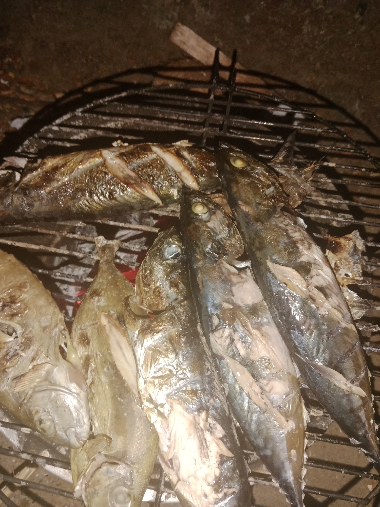 A close-up, overhead shot shows several fish cooking on a metal grill over what appears to be coals. The fish are arranged in a row. One fish at the top of the frame is longer and flatter, scored with diagonal cuts. Behind it, to the right, are three smaller, rounder fish, also whole. To the left of these, two more whole fish with lighter-colored skin are visible. The fish appear cooked, with some areas of browning and charring. The grill is dark metal with thick bars. The background is dark and out of focus, suggesting an outdoor nighttime setting. The image is grainy and appears to have been taken in low light. The scene is likely from Baubau, Indonesia, a city known for its seafood.