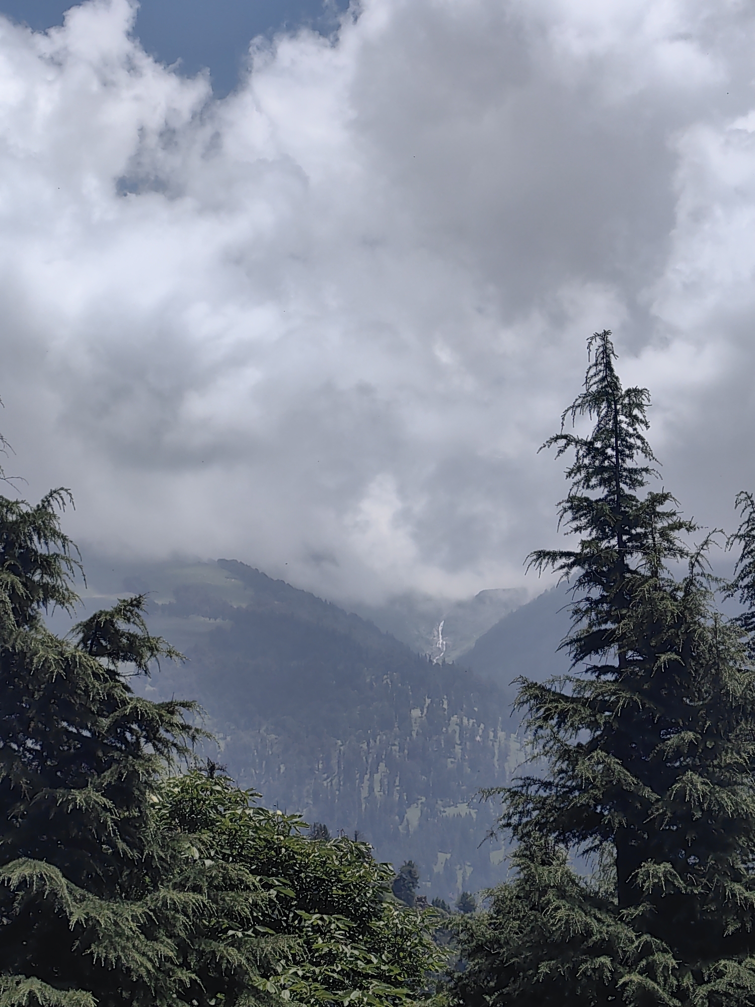 The image depicts a view of the Solang Valley in India, characterized by lush green mountains under a cloudy sky. In the foreground, several tall coniferous trees with dense foliage frame the scene. In the distance, a narrow waterfall cascades down a mountainside, its white stream contrasting with the verdant slopes. The mountains are covered in a mix of trees, with some patches of lighter green indicating open areas or different vegetation. The sky is filled with dramatic, gray clouds, hinting at recent or approaching rain. The overall atmosphere is one of natural beauty and rugged mountain terrain.