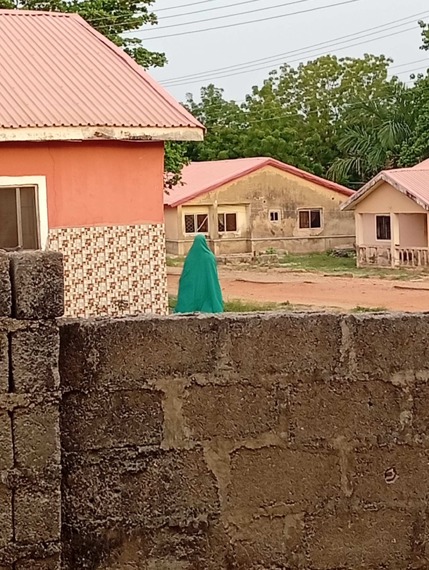 The scene is in Adankolo, Nigeria. A green-clothed figure stands in front of three single-story buildings with reddish-pink roofs. The building closest to the viewer is salmon-colored with tiled exterior walls. In the background, there are green trees. A block wall is in the foreground. The sky is overcast.