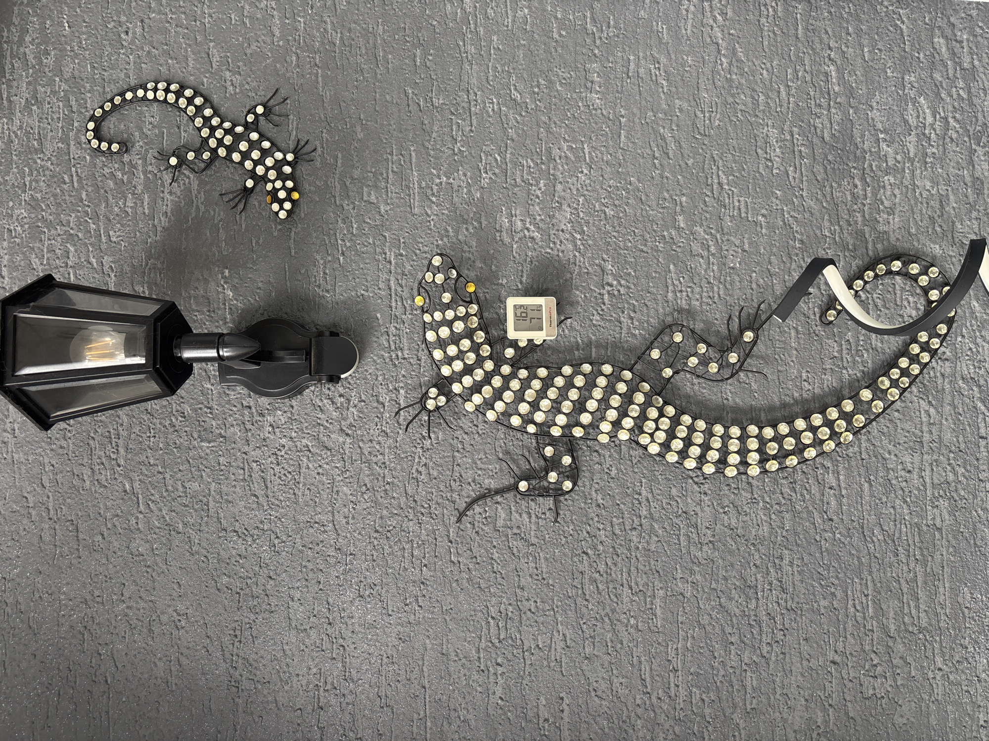 An eye-level, full shot depicts a dark gray, textured wall adorned with two decorative lizard figures and a black outdoor light fixture. The wall has a rough, stucco-like finish.
The main subjects are two stylized lizards, crafted from dark wireframes and embellished with numerous small, reflective circular dots, possibly rhinestones. The larger lizard is positioned centrally on the wall, extending horizontally to the right. It features yellow dots for its eyes and a few other spots on its body. Above and to the left of the large lizard is a smaller lizard, with its tail curled, also featuring yellow eyes and similar white dot embellishments.
To the left of the large lizard and below the smaller one, a black, lantern-style outdoor light fixture is mounted. It has clear glass panels, and an Edison-style light bulb with visible filaments is illuminated inside.
Between the large lizard's head and body, a small, white digital display device is mounted on the wall. This device shows the word "DRY" and numerical readings "46" and "79," likely indicating humidity and temperature. The brand "ThermoPro" is visible at the bottom right of the display.
No specific activity or event is taking place; the image captures a static decorative display. The scene appears well-lit, suggesting either daytime or bright indoor lighting. The overall impression is that of an outdoor or rustic-themed interior space.