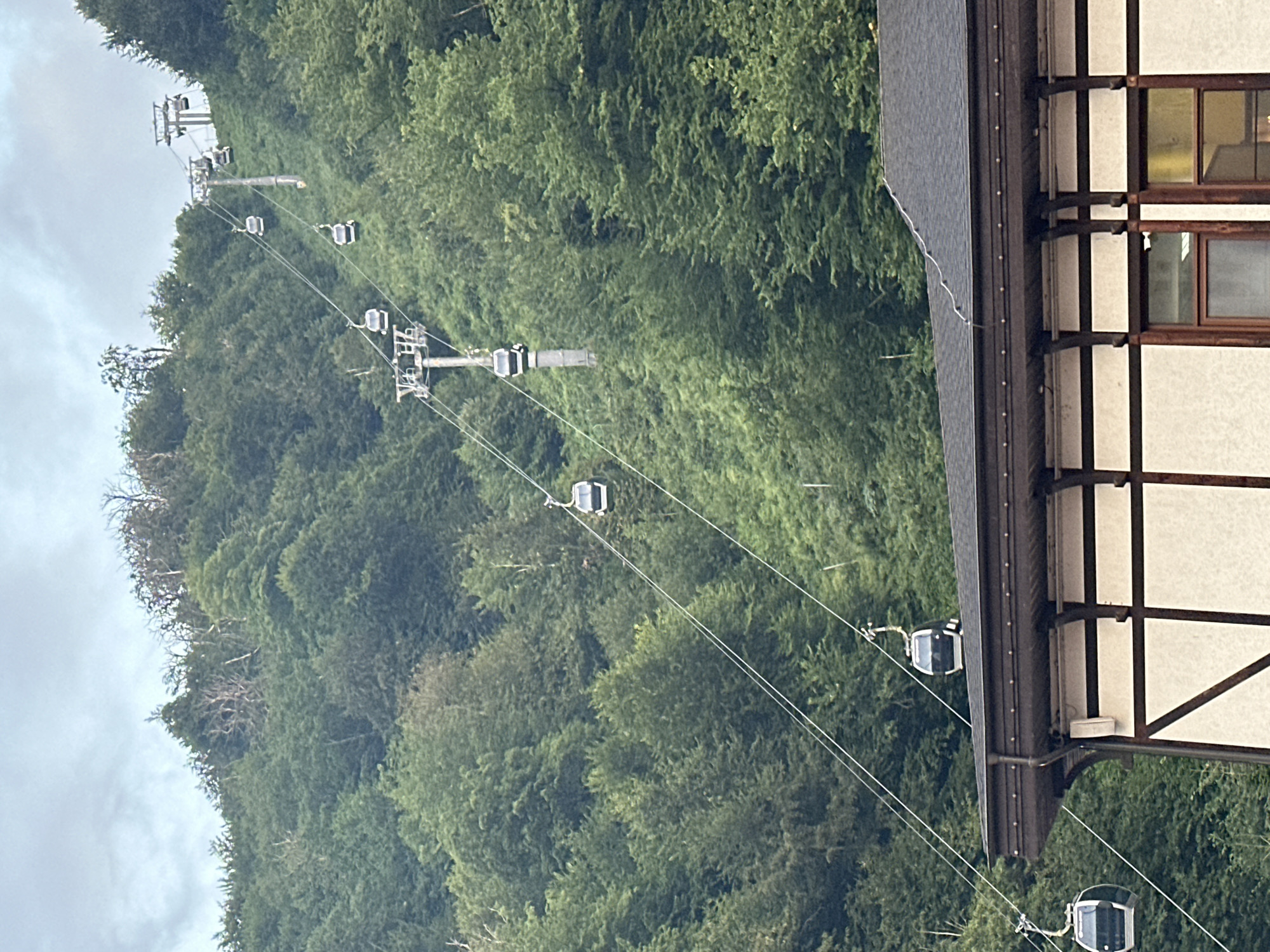 The image captures a view of a cable car system ascending a densely forested mountainside in Estosadok, Russia. The cable cars, appearing as modern, dark cabins with windows, are suspended from cables strung between tall support towers. Several cable cars are visible, distributed along the ascending lines, some closer to the viewer and others further up the mountain. The mountainside is covered in a thick, green forest, with the canopy creating a textured backdrop for the cable car infrastructure. In the foreground, the roof of a building with a dark, pitched roof and visible support beams is present. The building has a section with white walls and dark, wooden trim, suggesting it may be a part of a resort or station. The sky above is overcast with gray clouds.