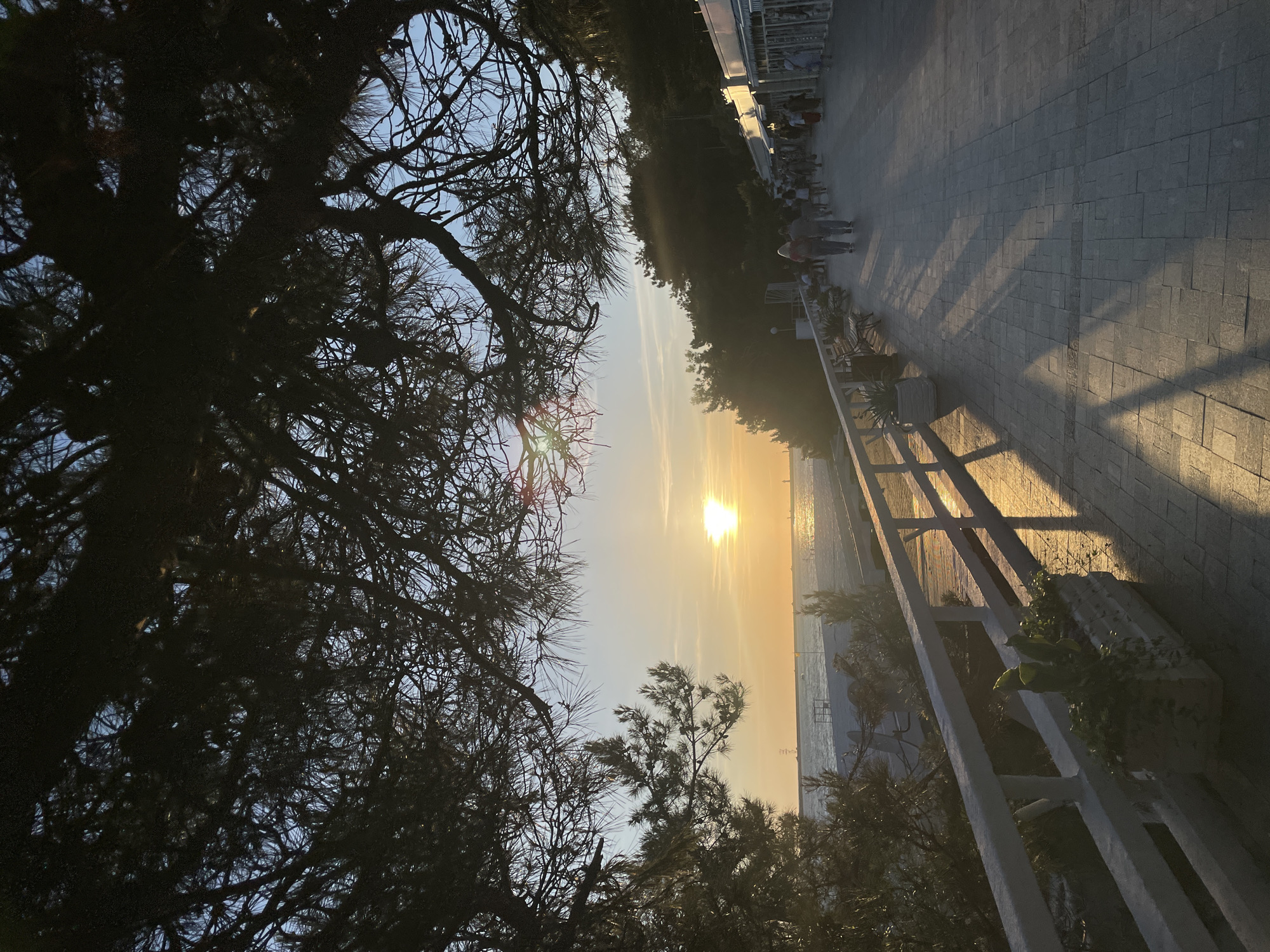 The image depicts a sunset scene along the embankment in Sochi, Russia. The sun is low on the horizon, casting a warm, golden light across the sky and reflecting on the sea. Silhouetted tree branches frame the upper portion of the image. A paved walkway runs parallel to the sea, lined with a white railing. Several people are walking along the walkway, their shadows stretching long across the pavement. To the right of the walkway, a row of buildings with awnings suggests a commercial area. The beach and the sea are visible to the left of the walkway, with a pier or jetty extending into the water. The overall atmosphere is peaceful and serene, with the natural beauty of the sunset complemented by the urban setting.