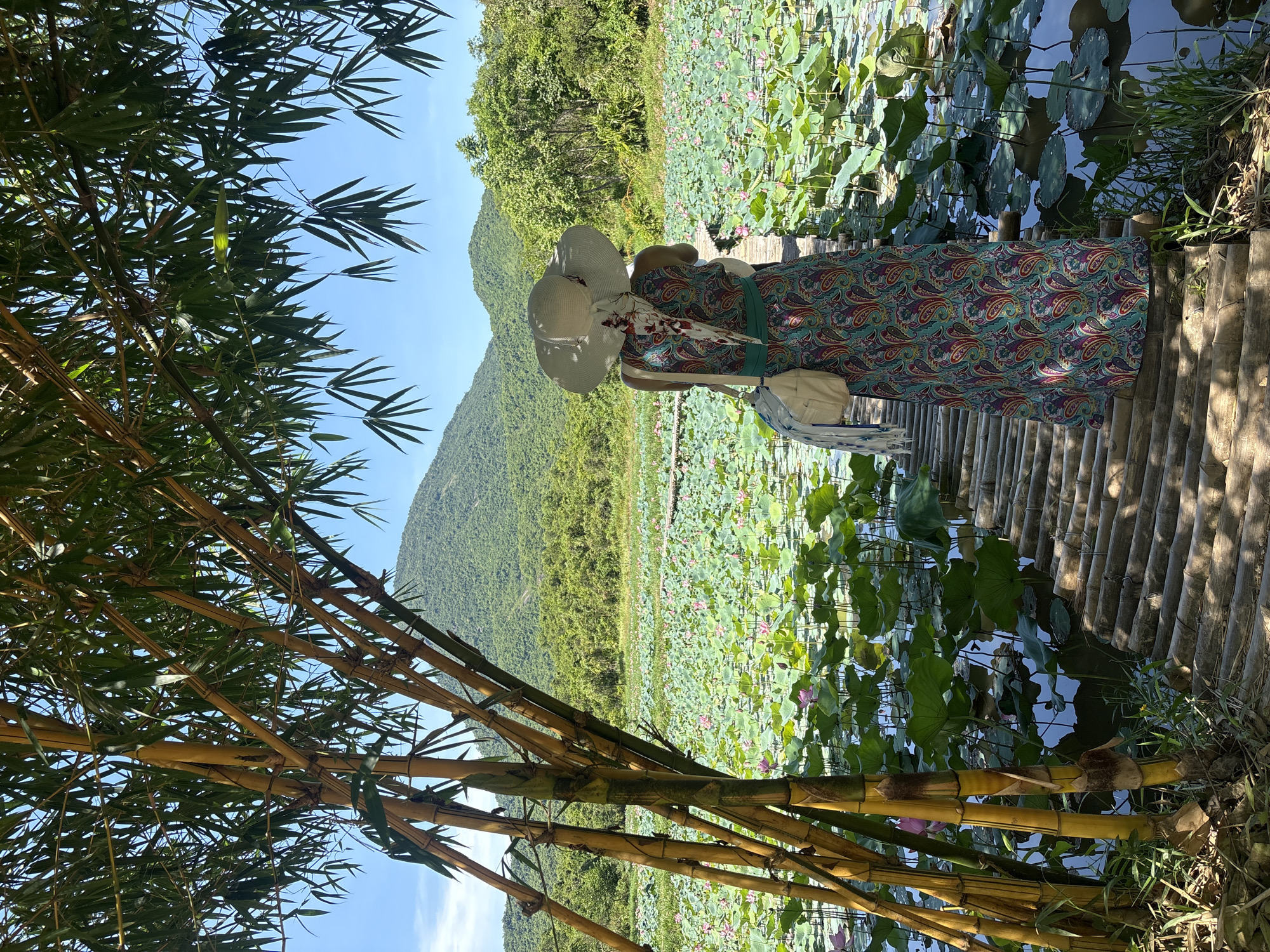 A person stands on a bamboo walkway, facing away from the camera, looking out over a tranquil lotus pond. The person is wearing a wide-brimmed hat, a long, colorful, paisley-patterned dress, and a scarf around their neck. A light-colored shoulder bag is slung across their body. The walkway is constructed from natural bamboo poles, laid side-by-side, creating a rustic path over the water.
The lotus pond is filled with numerous large, green lily pads and some blooming pink lotus flowers. Beyond the pond, a dense green forest covers the slopes of rolling hills and mountains. The sky is a clear, bright blue, with a few wispy clouds. In the foreground, a cluster of tall, yellow-green bamboo stalks with long, slender leaves provides a natural frame for the scene. The overall atmosphere is peaceful and serene, suggesting a natural, rural setting. This image is likely from the city of Đà Nẵng, Vietnam, a location known for its natural beauty, including lotus ponds and mountainous landscapes.