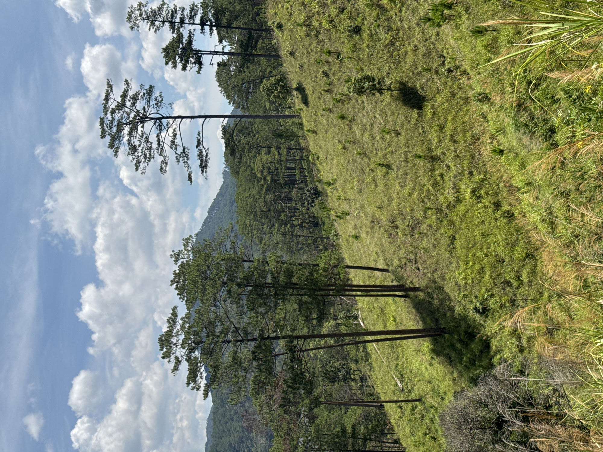The image shows a hillside in Hiep Thanh, Vietnam. The hillside is covered in green grass and has several trees growing on it. The sky is blue and there are some white clouds in the sky. The location is characterized by rolling green hills and a lush, vibrant landscape.