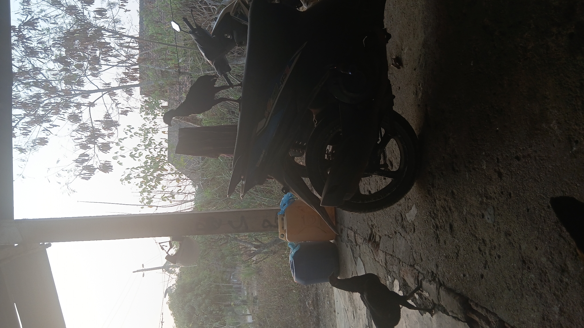 In the city of Prabumulih, Indonesia, a scene unfolds outdoors under a partially covered structure. Two black chickens are present, one standing on the ground near two large plastic containers, one blue and one yellow, and the other perched atop a dark-colored motorcycle. The motorcycle is positioned in the foreground, facing away from the viewer and partially obscuring the ground. Beyond the motorcycle and chickens, vegetation and trees are visible, with dry leaves on some branches suggesting a particular season. The background shows a fence and the outline of structures, possibly houses. The sky is bright and overcast, indicating daytime. The overall impression is of a rural or semi-rural setting.