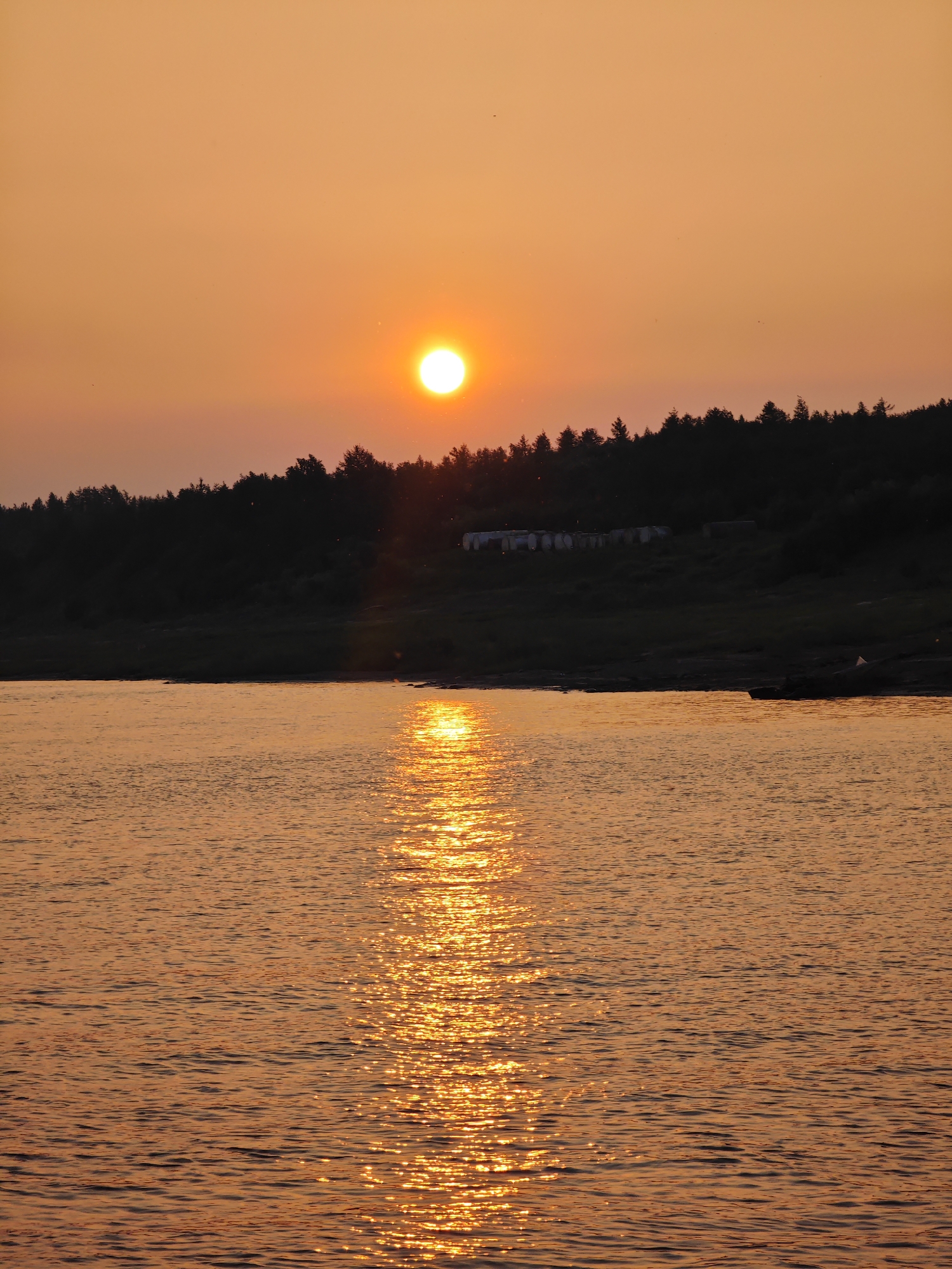This media file captures a serene sunset over a body of water, likely a river or lake, near Потапово, Russia. The sun, a bright orb of orange, is low on the horizon, casting a warm, golden glow across the sky and the rippling water. A reflection of the sun shimmers on the surface of the water, creating a dazzling path of light.
In the background, a dark, silhouetted treeline forms a natural border against the vibrant sky. Perched on the hill behind the trees, several small, light-colored structures are visible, possibly buildings or shelters, adding a subtle human element to the otherwise natural landscape. The overall mood is peaceful and tranquil, evoking the quiet beauty of a day coming to a close. The time of day is clearly evening, with the warm colors of the sunset indicating fair weather. There is no visible text in the image.