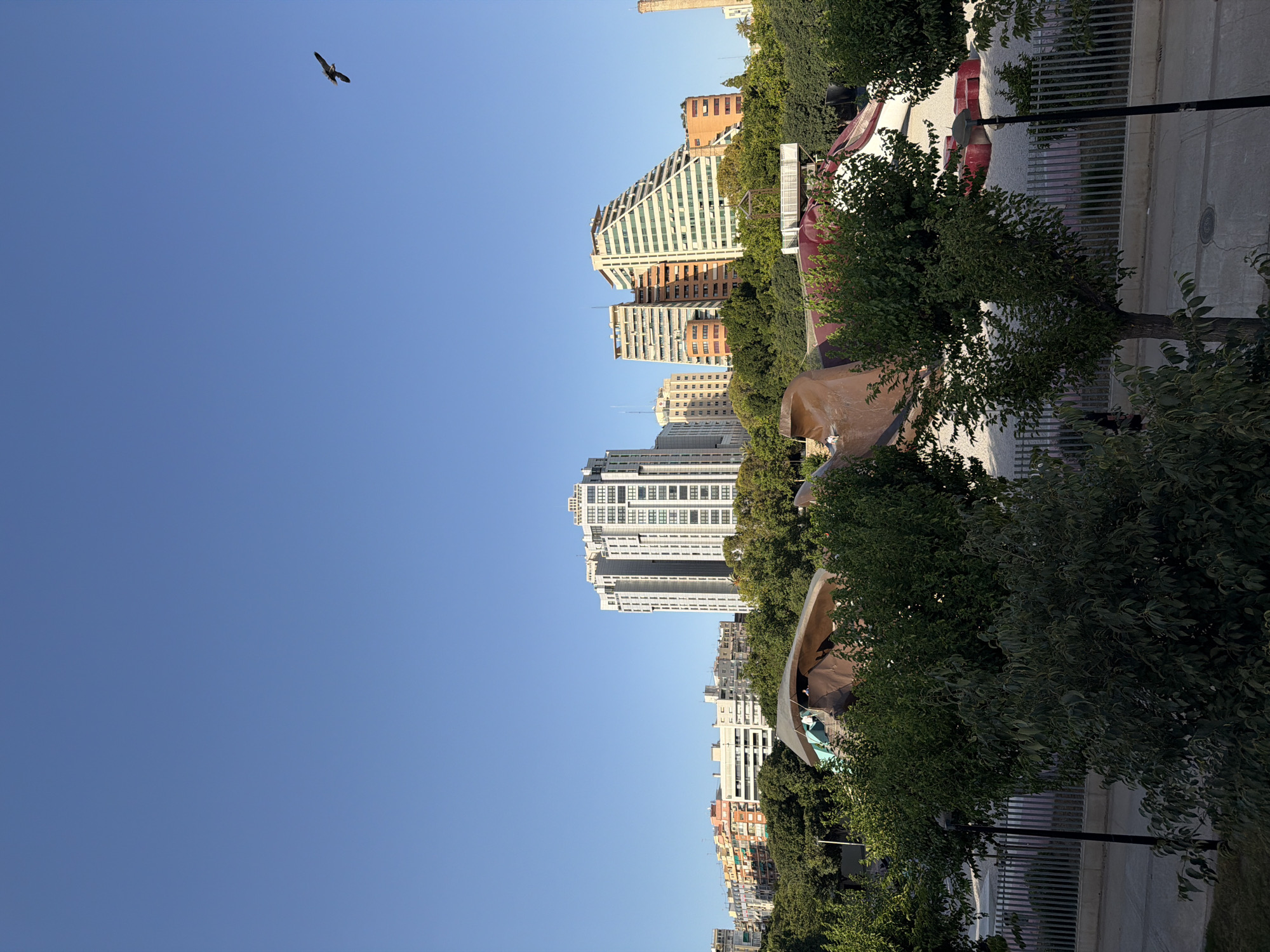The image depicts a cityscape dominated by a clear blue sky. In the upper left quadrant, a bird with outstretched wings is captured in flight against the vast expanse of the sky. The lower portion of the image reveals a dense urban environment characterized by several tall buildings of varying architectural styles, interspersed with lush green trees. The buildings are modern, with some featuring distinctive geometric designs, while others are more conventional rectangular structures. The presence of trees suggests a park or well-landscaped urban area. A metallic fence runs along the right side of the frame, bordering a paved area, possibly a sidewalk or plaza. The sunlight suggests it is daytime, likely late afternoon or early morning given the angle of the shadows and the warm tones on some of the buildings. The scene appears to be a typical urban setting, possibly in a city known for its modern architecture and green spaces. No people are clearly visible.