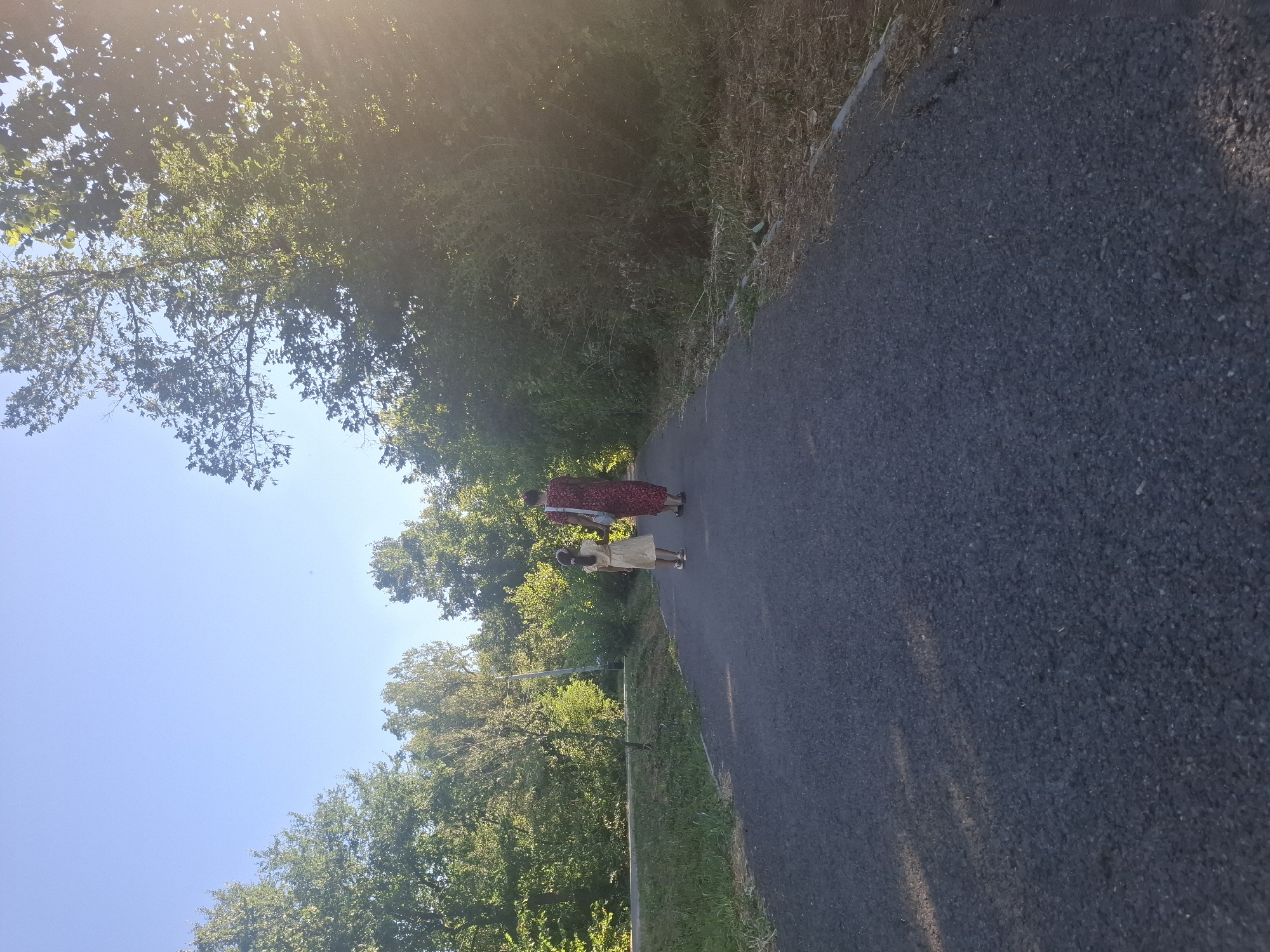 The image depicts two individuals, a woman and a child, walking away from the camera on a paved pathway. The woman is wearing a long, red patterned dress, and the child is wearing a light-colored dress. They are walking down a paved path that curves slightly to the left. The pathway is bordered by grass on the left and a dry, overgrown embankment with some dry grass and leaves on the right. Lush green trees and foliage line both sides of the path, creating a natural environment. The sky above is clear and blue, with the sun casting a warm glow, possibly indicating late afternoon or early morning light. The overall scene suggests a peaceful stroll in a park or natural area.
The location is identified as Vadul lui Voda, Moldova. This suggests that the scene is likely a recreational area within or near the city, possibly a park or a path along a river or lake, given Vadul lui Voda's known geographical features.