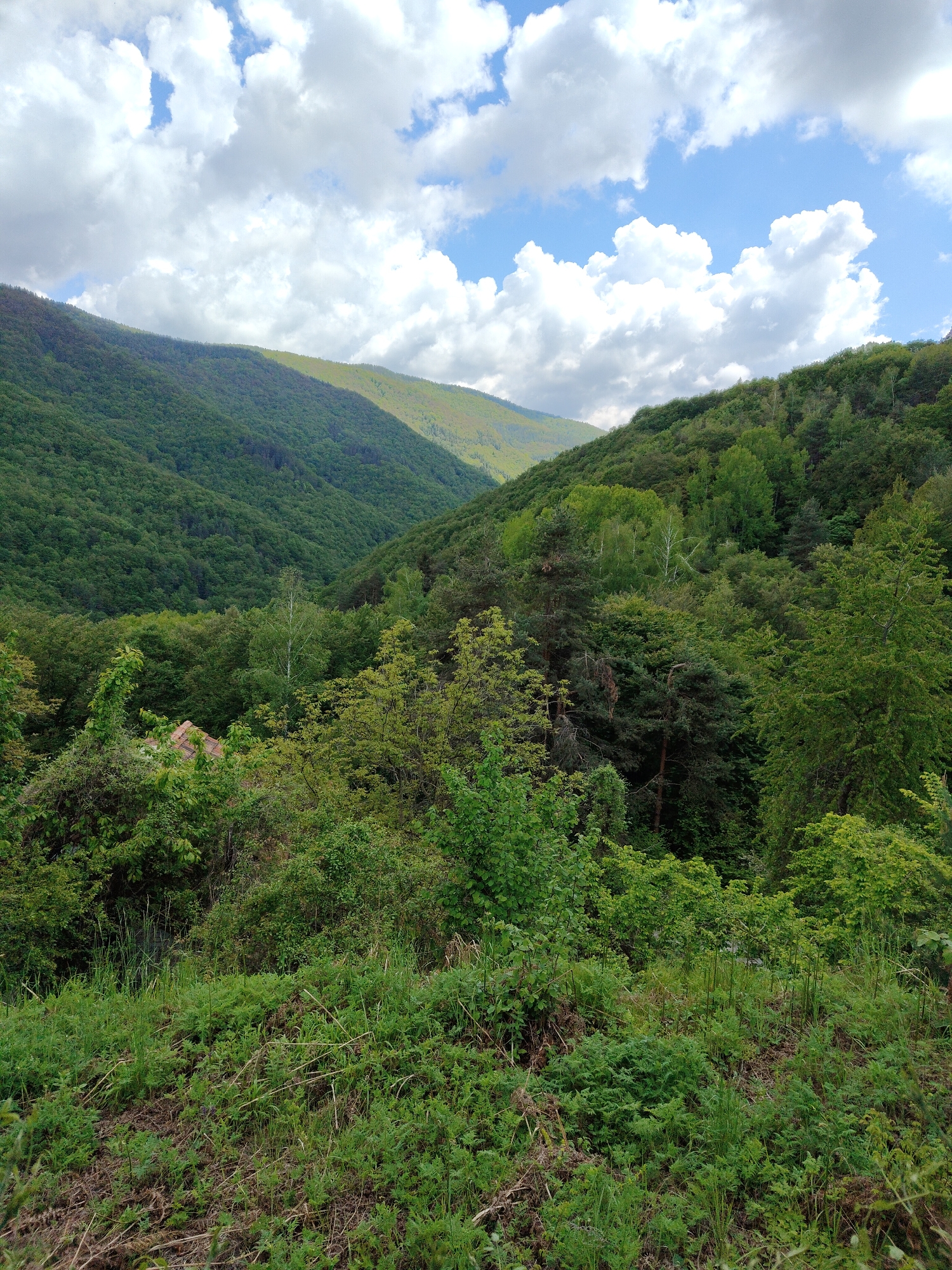 The image depicts a mountainous landscape with lush green vegetation. A valley is formed between two forested hills. The slopes are covered in dense trees. In the foreground, there's a view of grass and undergrowth. A glimpse of what appears to be a red-tiled roof of a building is partially obscured by the greenery. The sky is partly cloudy. The location is in or near Dedovo, Bulgaria.