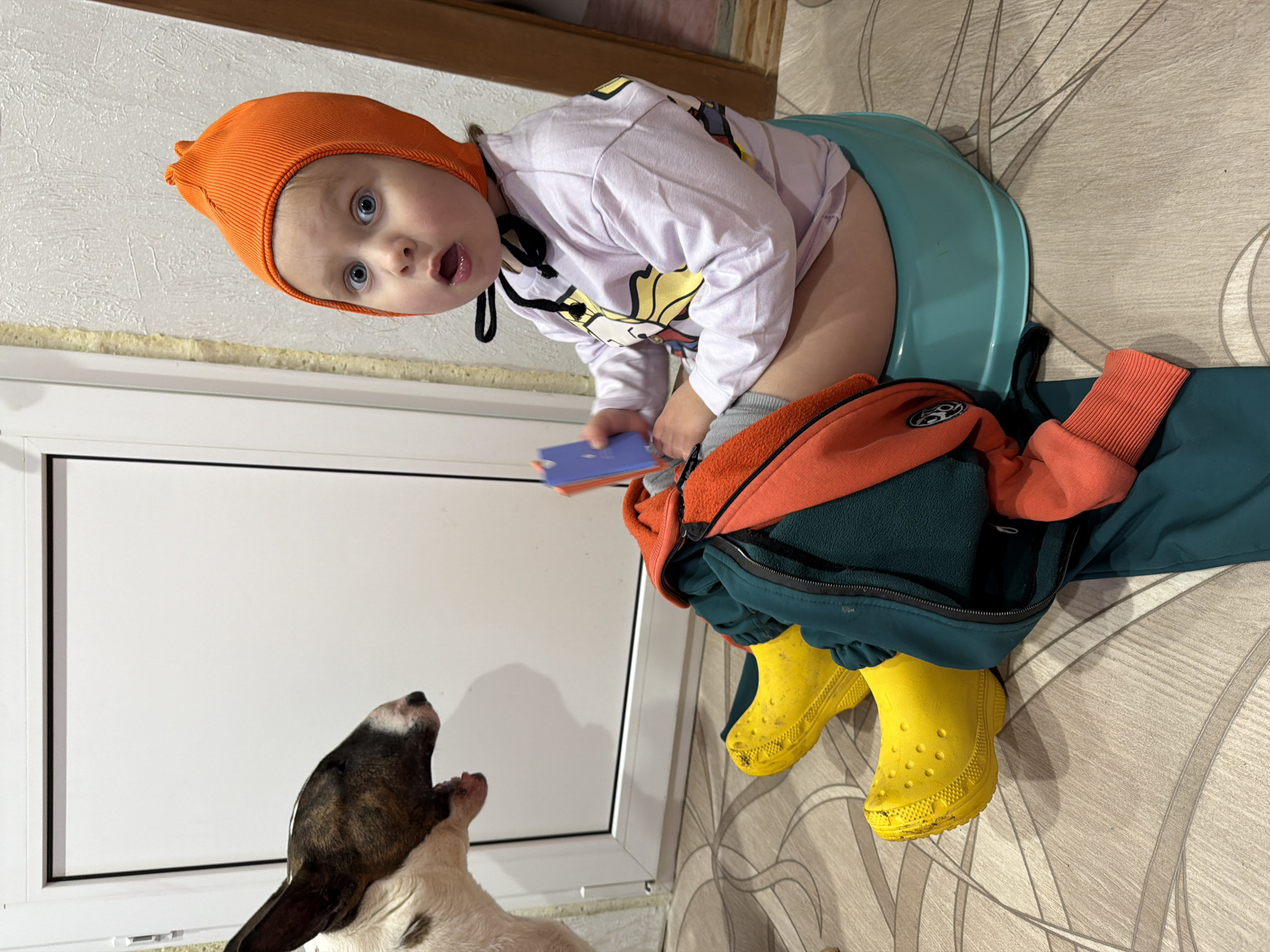 A young child with an orange hat is sitting on a blue potty. The child is wearing a white, long-sleeved shirt with a cartoon character. The child is holding a blue object and has a surprised expression. A dog is looking up at the child. There is a jacket and yellow rain boots next to the potty. The scene appears to be inside a bathroom or near a window. The location is Chaikovsky, Russia.