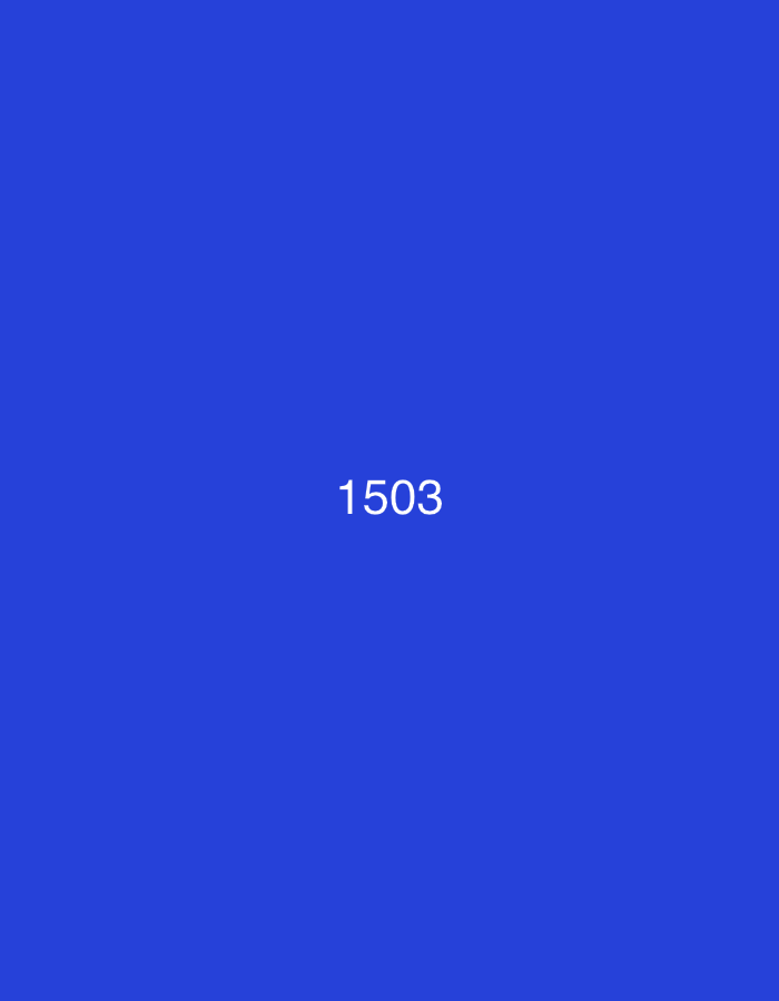 The image is a digital screen displaying the number "1503" in white text against a solid blue background. There is no discernible city or location information present in the image.