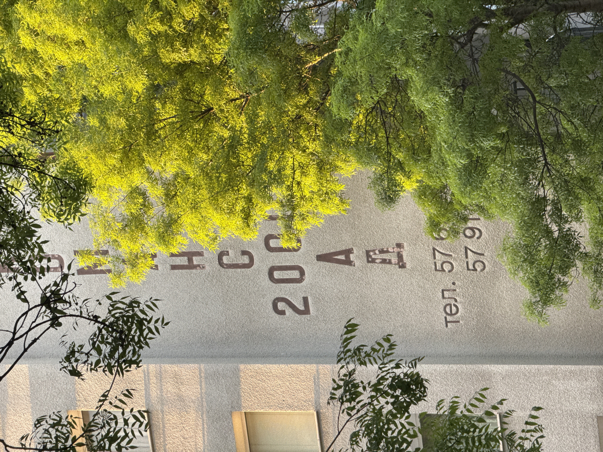 The image shows the facade of a building with the address "Булевард Патриарх Евтимий 200 A, София, България," inscribed on it. The phone number "тел. 57 6 57 9" is also visible. Green trees partially obscure the building's facade. The time of day appears to be late afternoon or early morning due to the angle of the sun and the shadows. The building is white or light gray. There is a window visible on the lower part of the building. The scene is oriented vertically, suggesting the photo was taken from below or above.